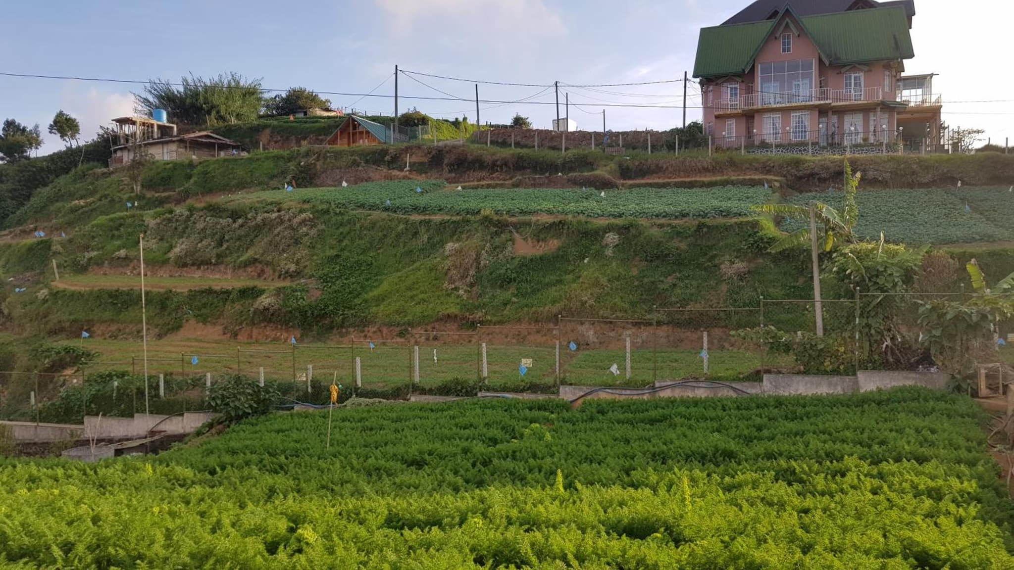 ChandraSobana photo 6