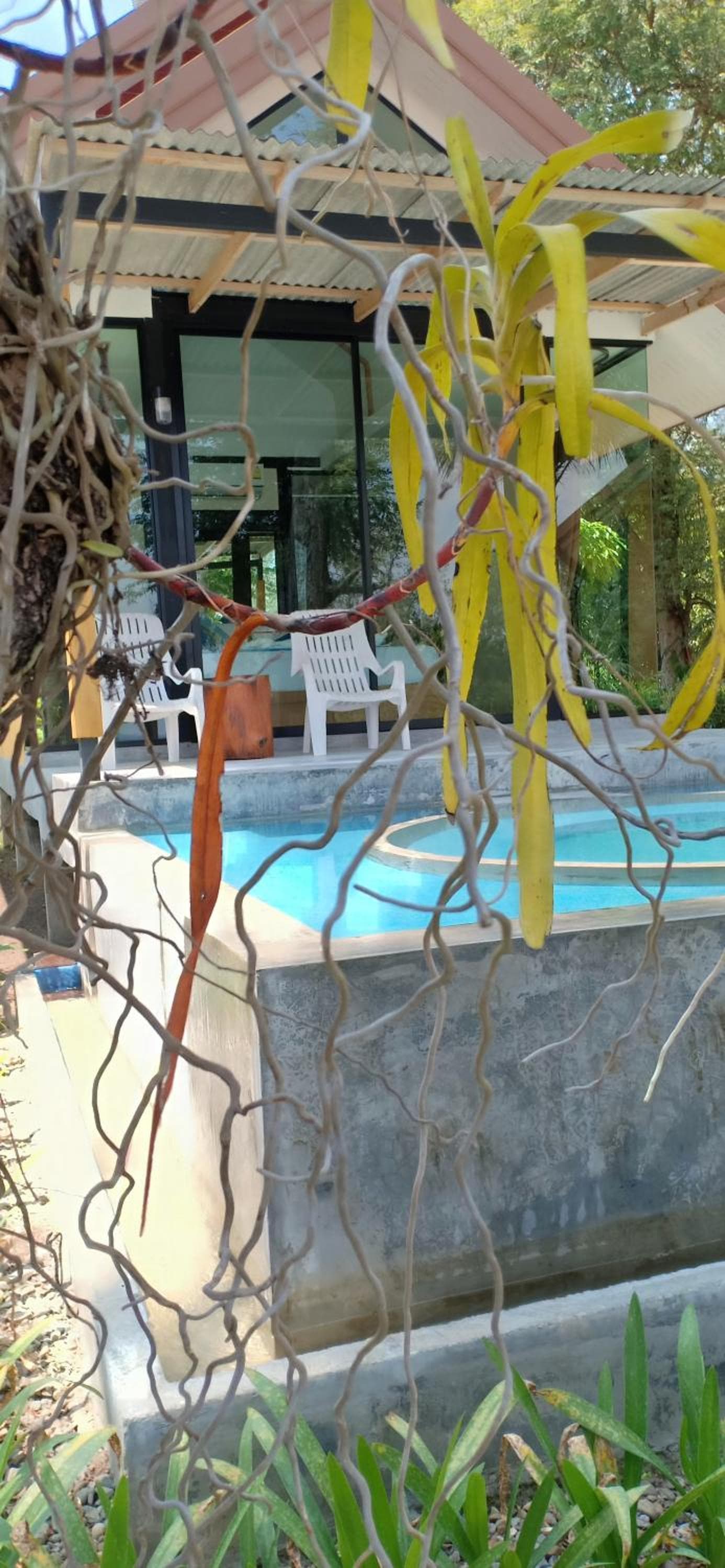 Mook Tamarind Resort photo 9