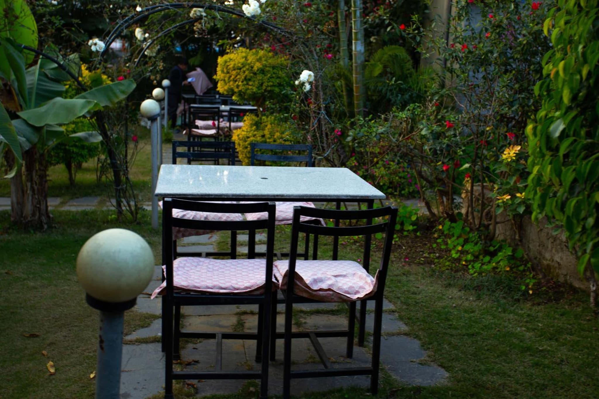 Hotel Orchid photo 5