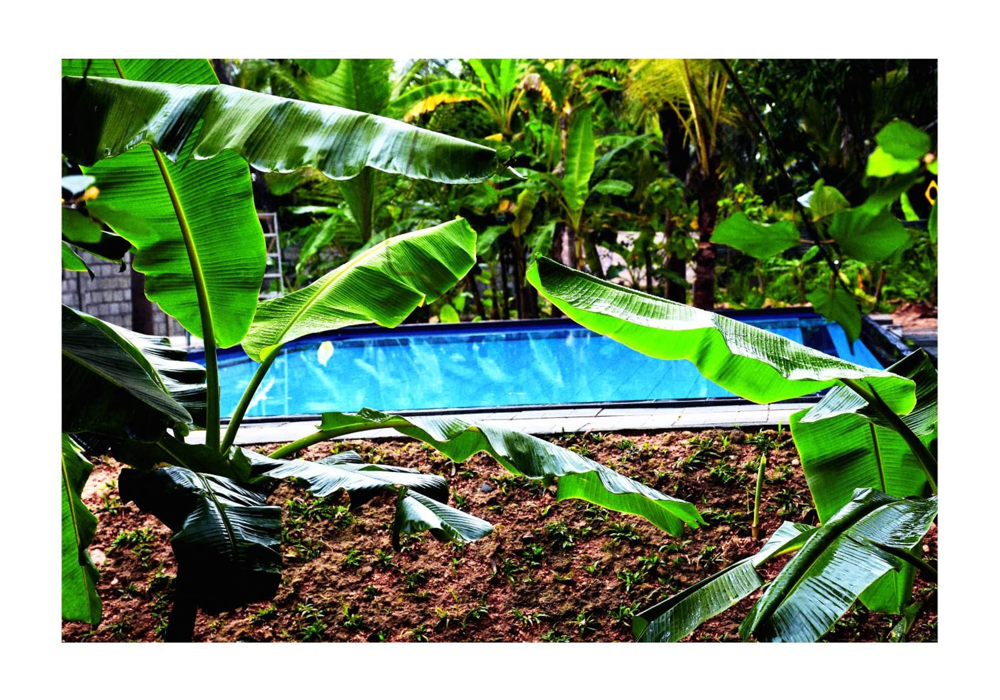 Sun and Green Eco Lodge - Dambulla photo 7