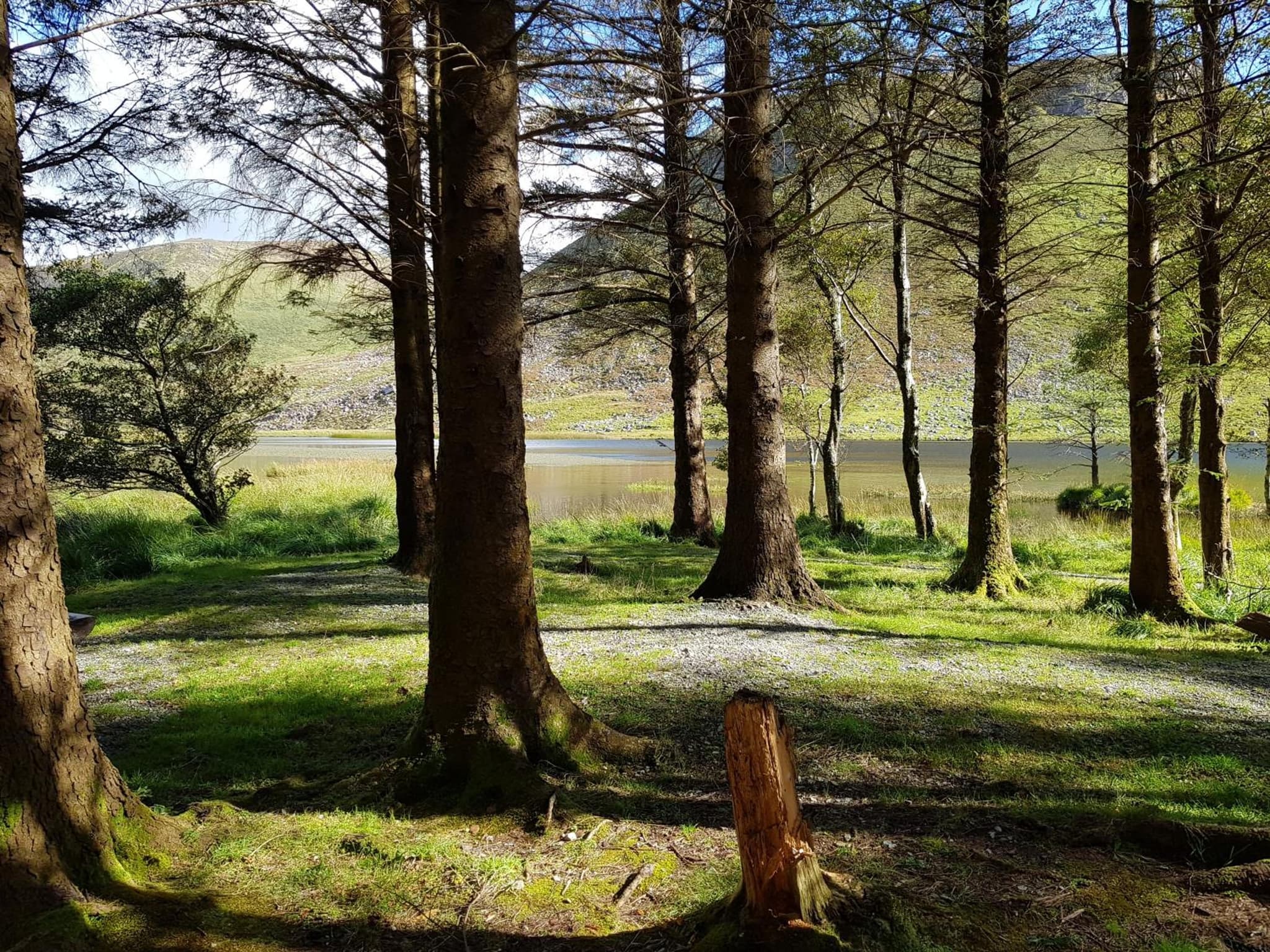 Traditional stradbally cottage photo 6