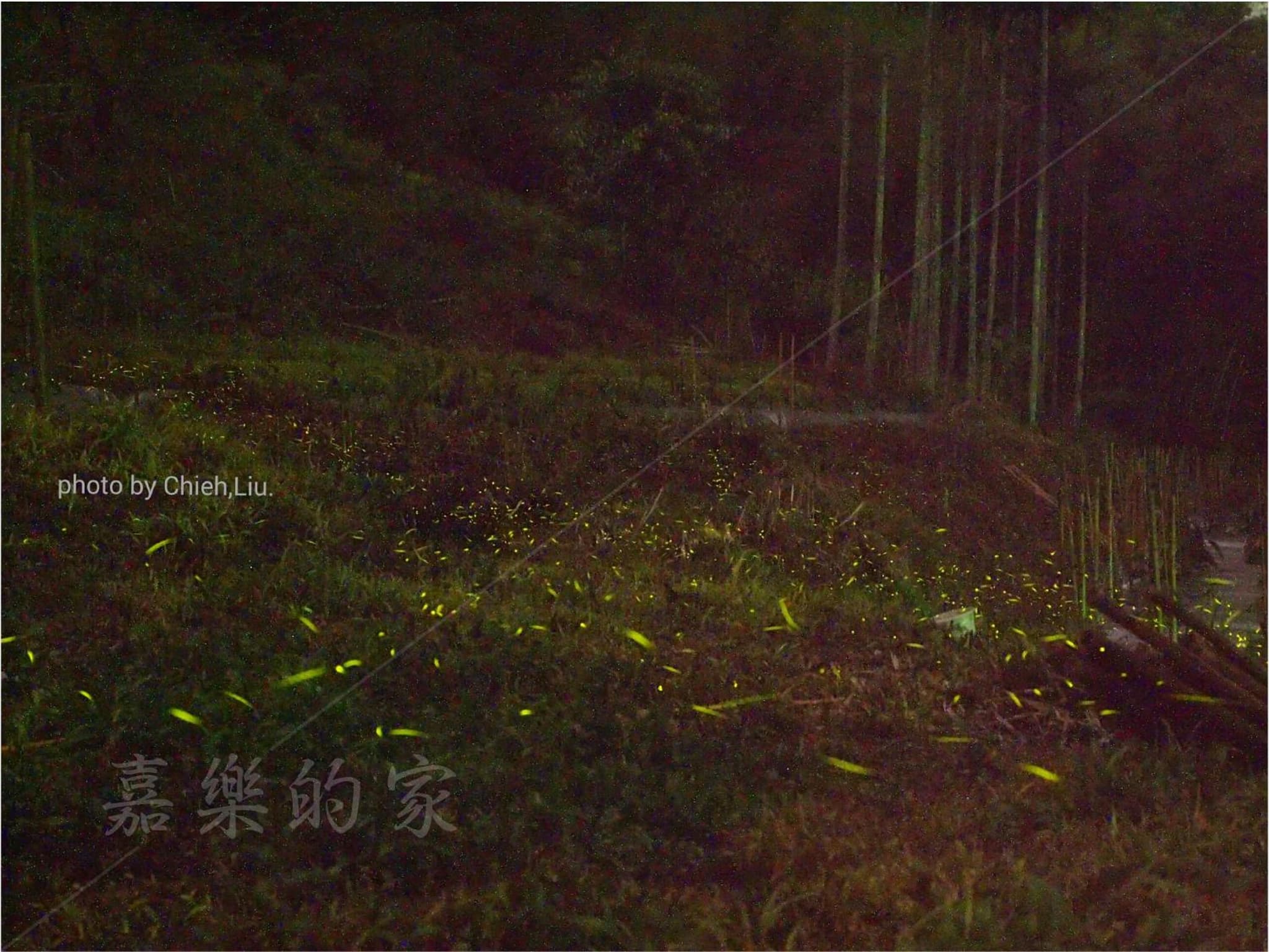 嘉樂的家民宿Tea Master B&B 電動車充電站 photo 4