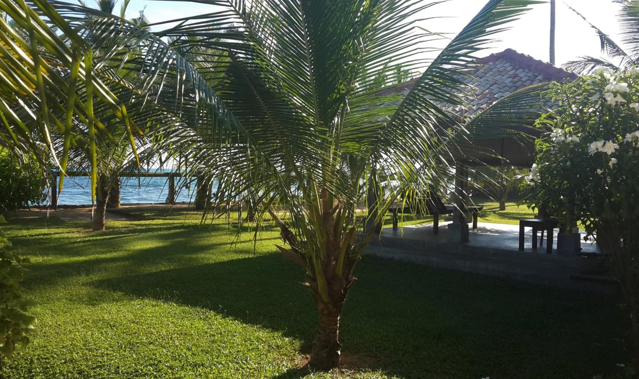 IMAGINE Villa Hotel photo 7