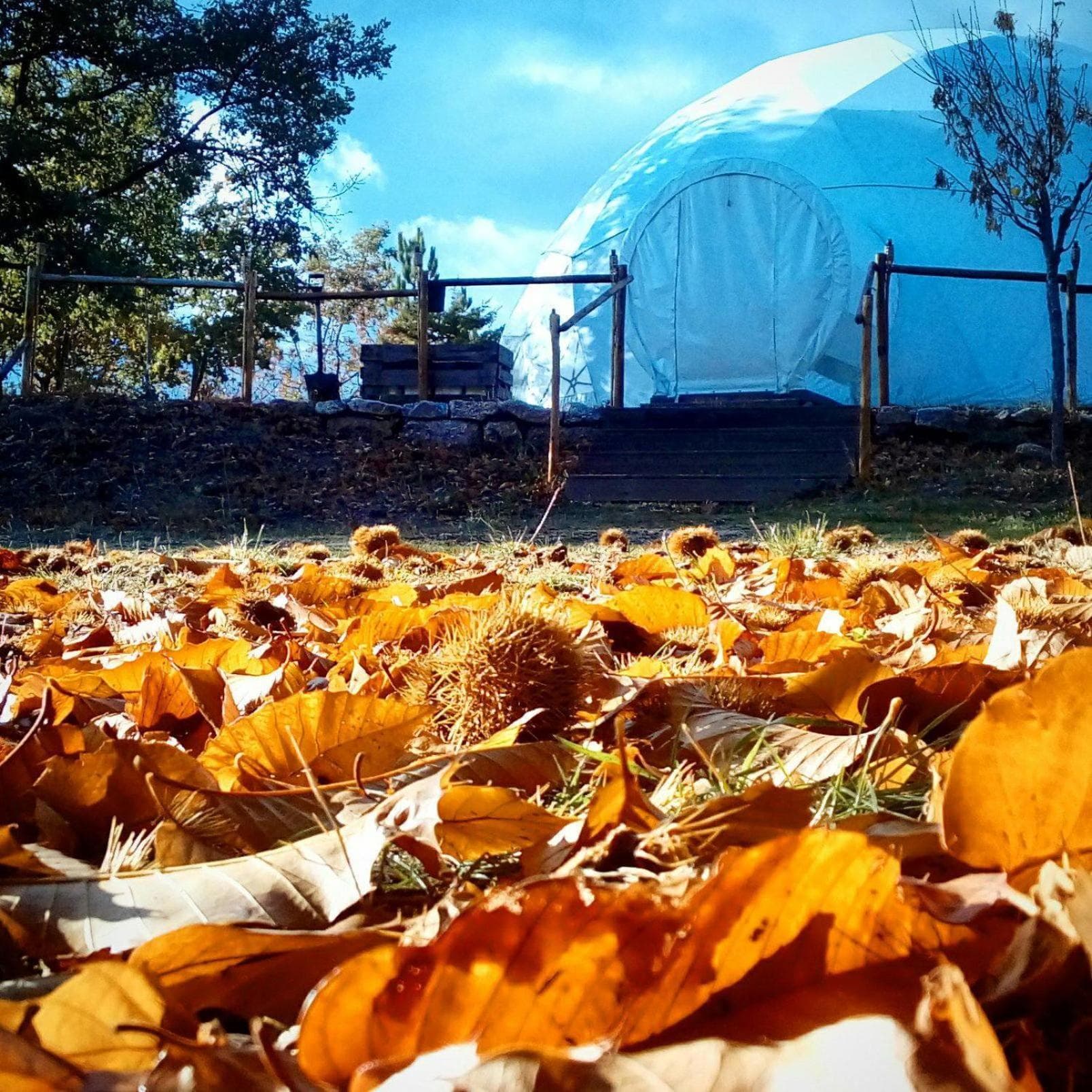 Natura Glamping photo 3