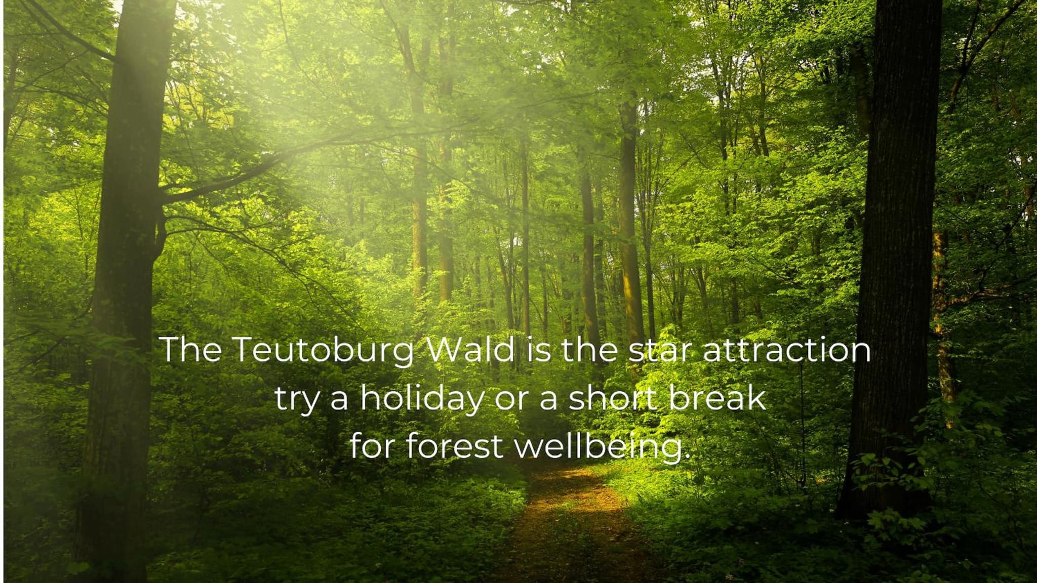 Waldhotel "Peter aufm Berge" photo 4