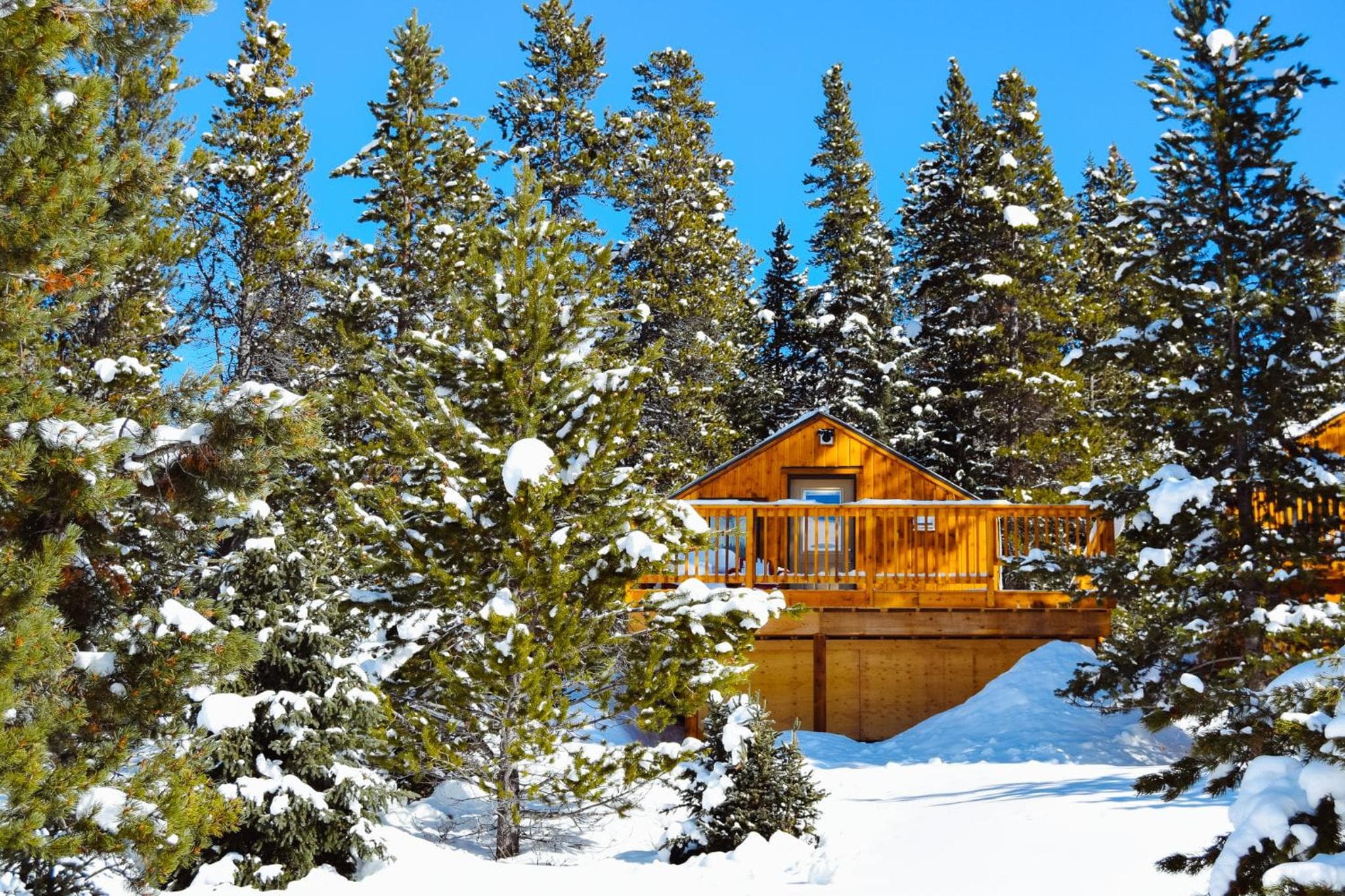 Mount Engadine Lodge photo 5