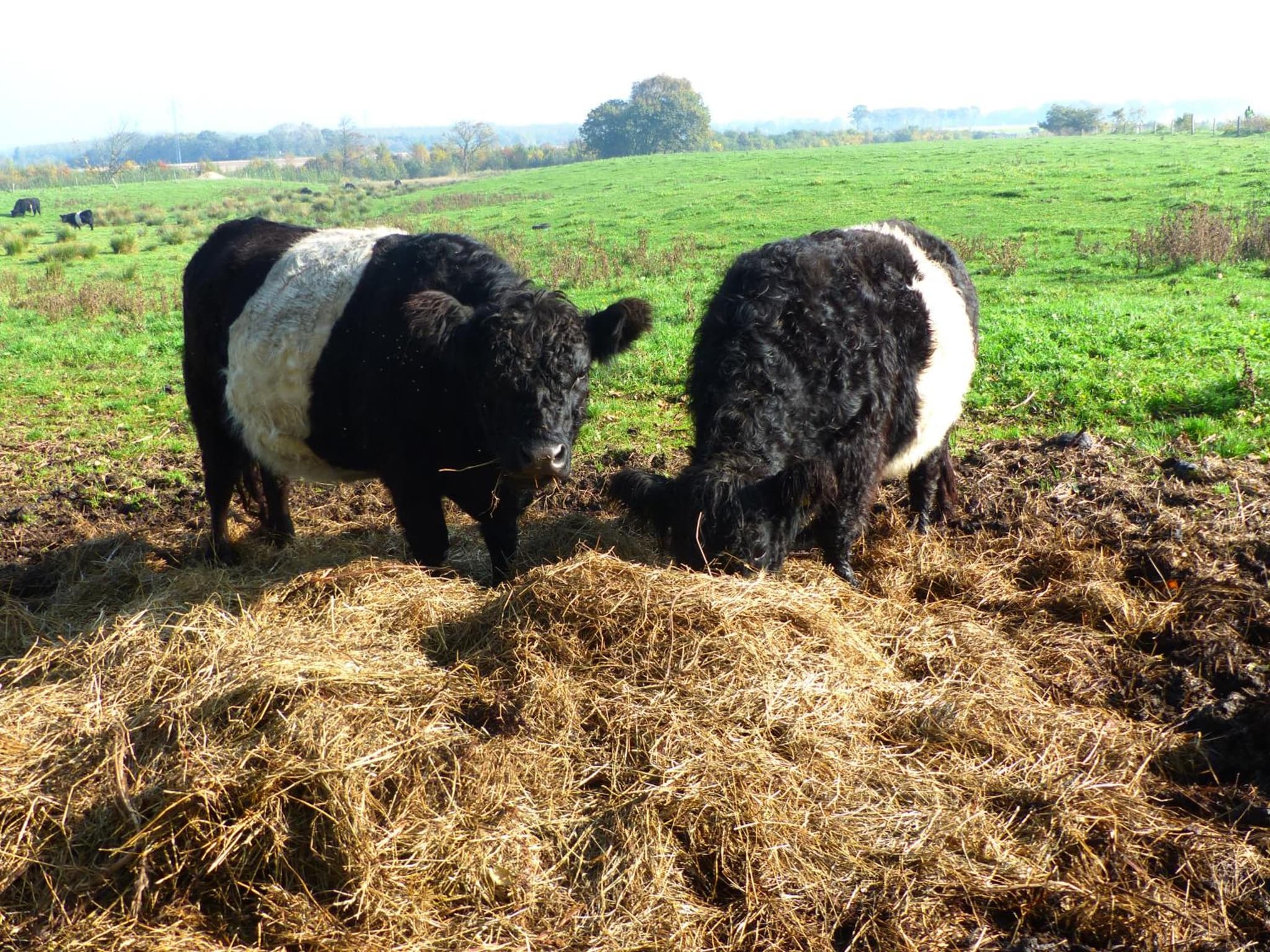 Kristiansminde Farm Holiday photo 2