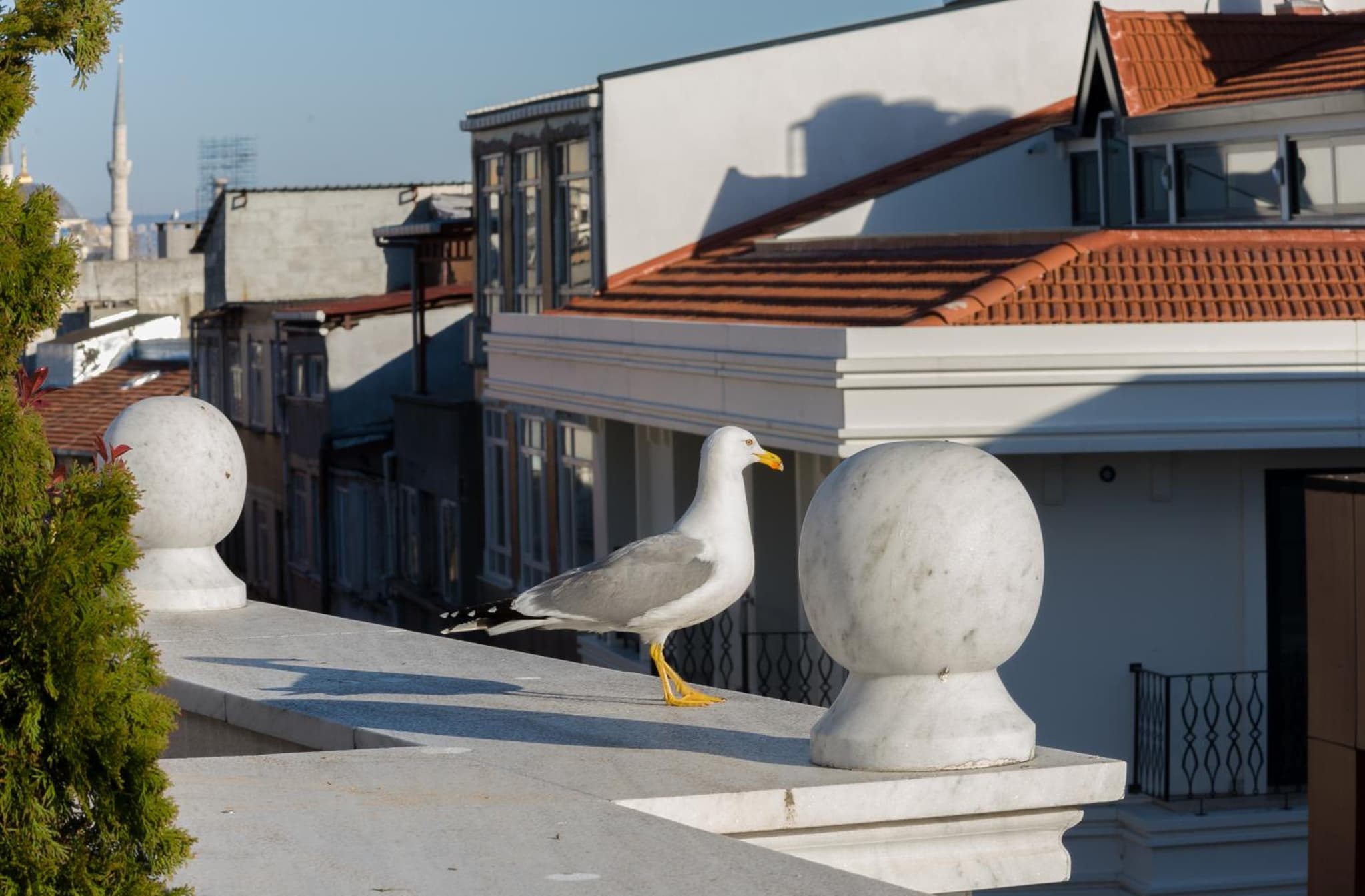 Bizim Hotel photo 2