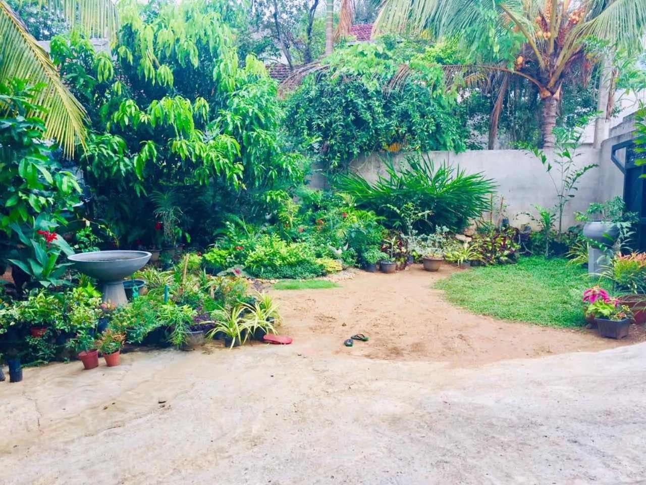 Suwani Pinnawala Homestay photo 7
