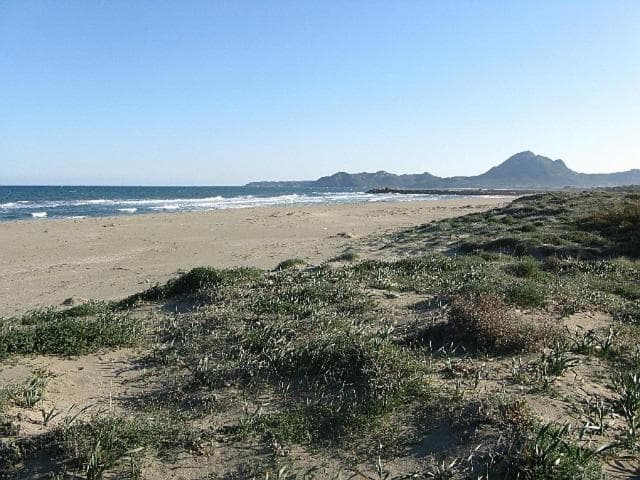 Mirto E Mare photo 3