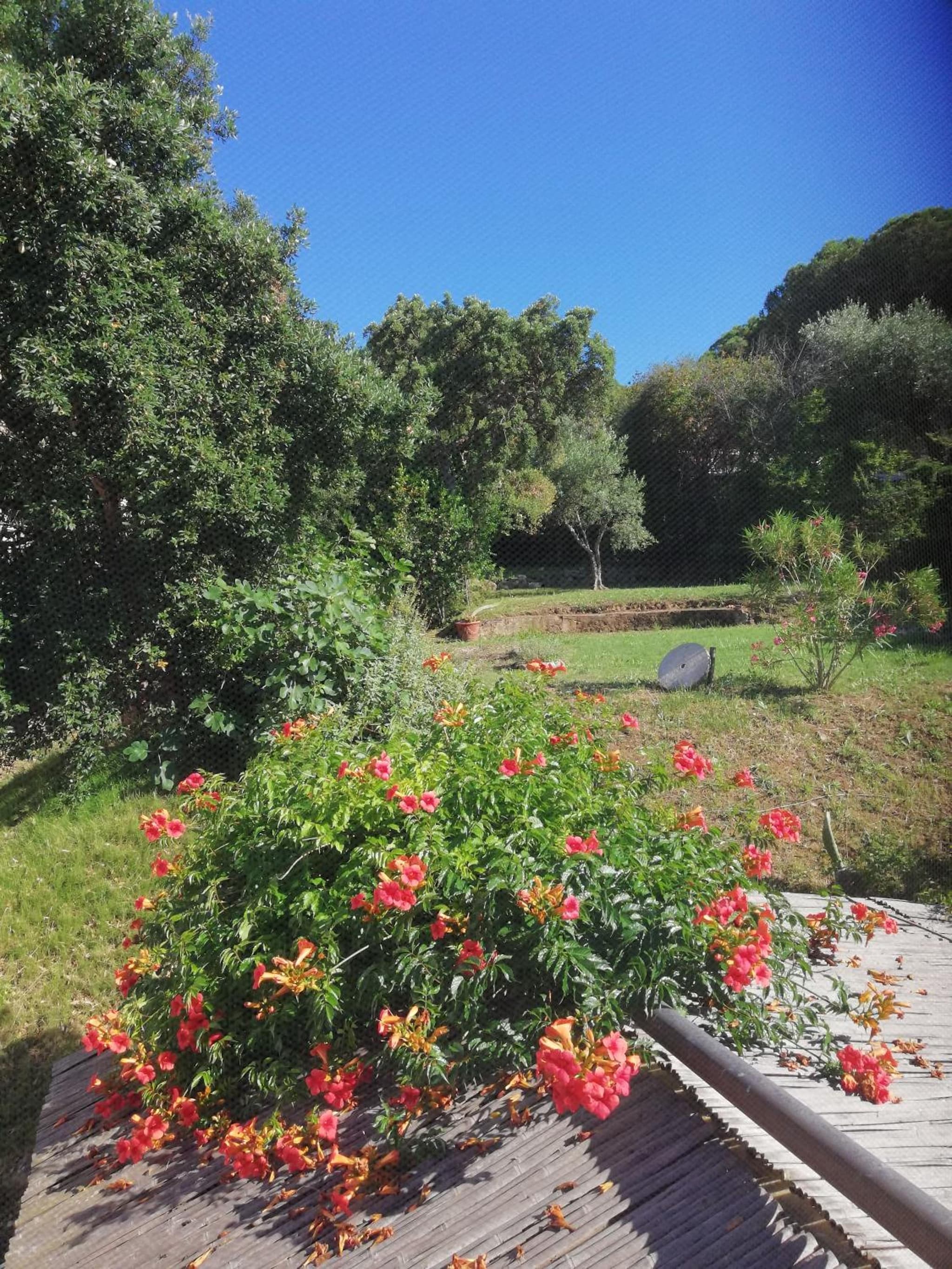 Rosa dei Venti photo 4
