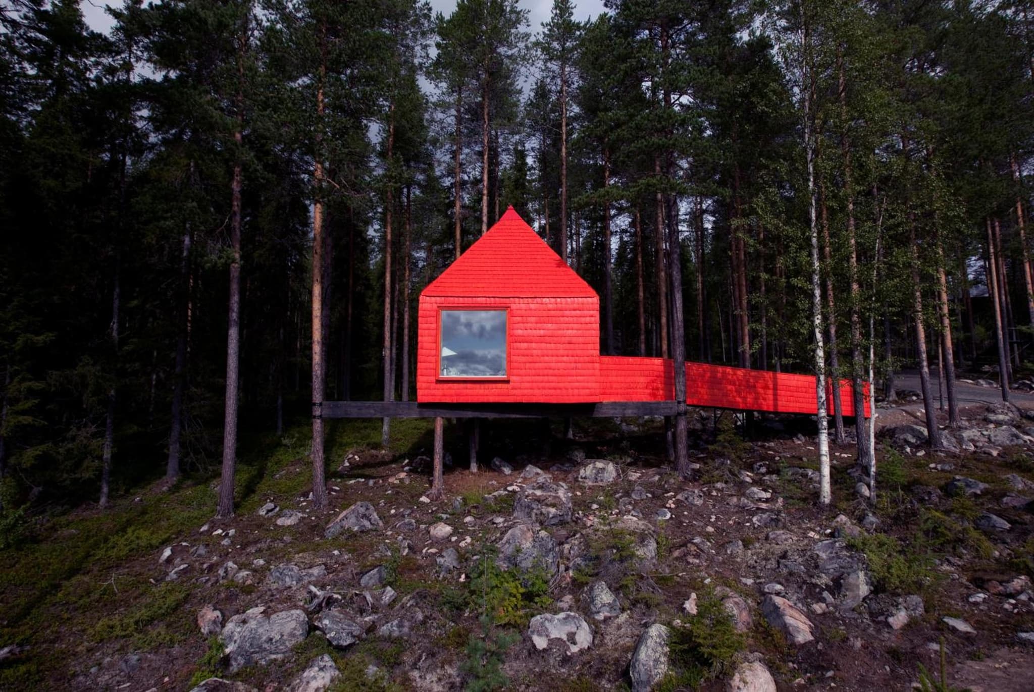 Treehotel photo 5