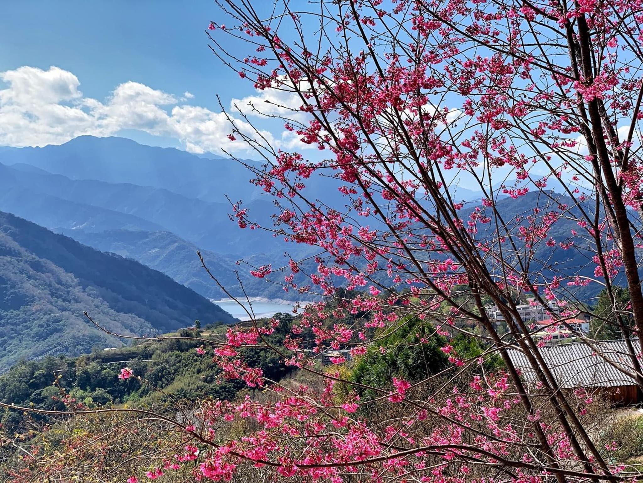 Tian Hsiang Tea B&B photo 6