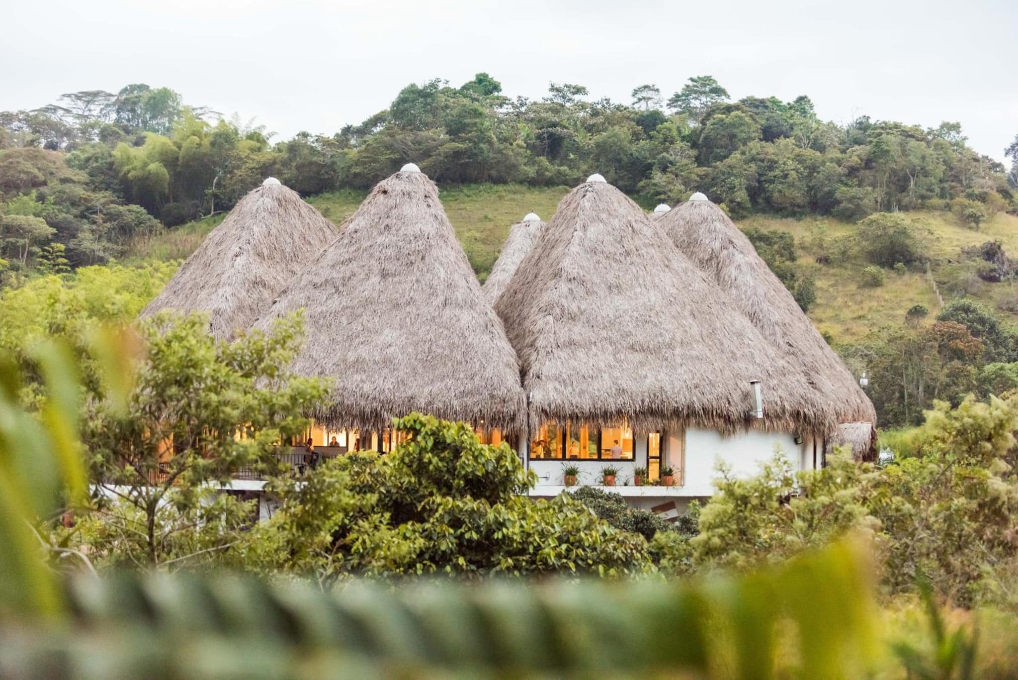 Ceiba by Masaya Collection photo 7