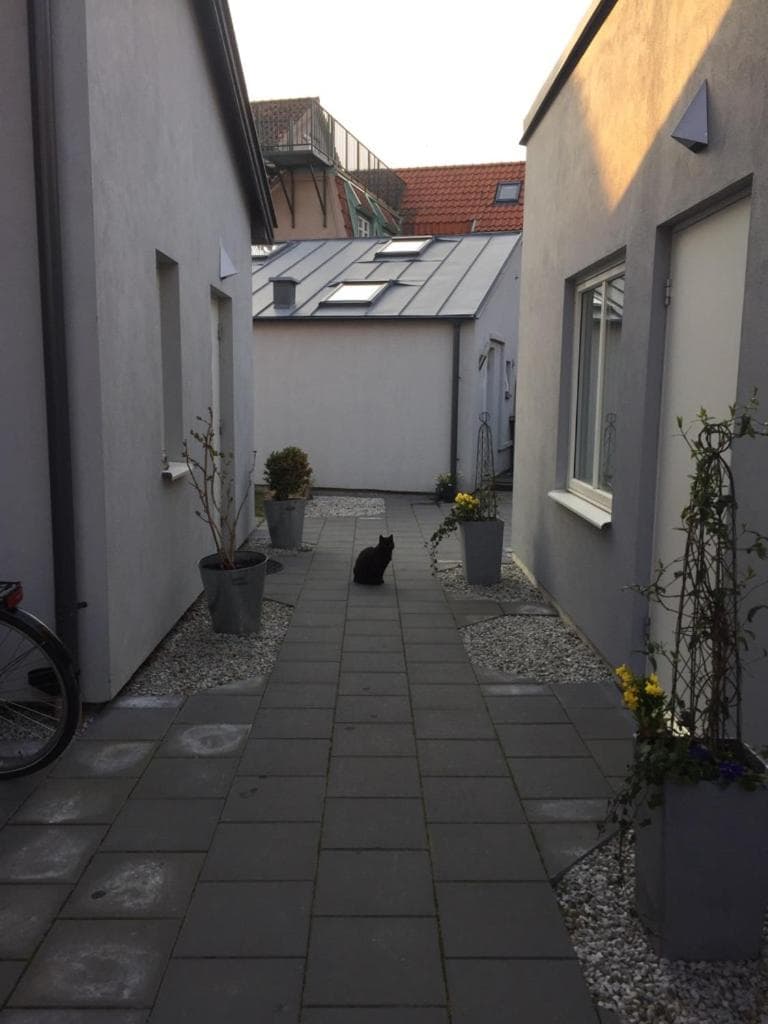 The Garden House photo 7