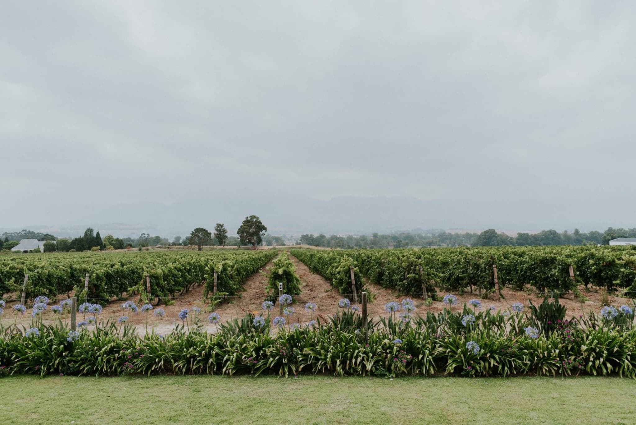 Cana Vineyard Guesthouse photo 8