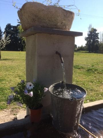 Safranière des Sorgues photo 6