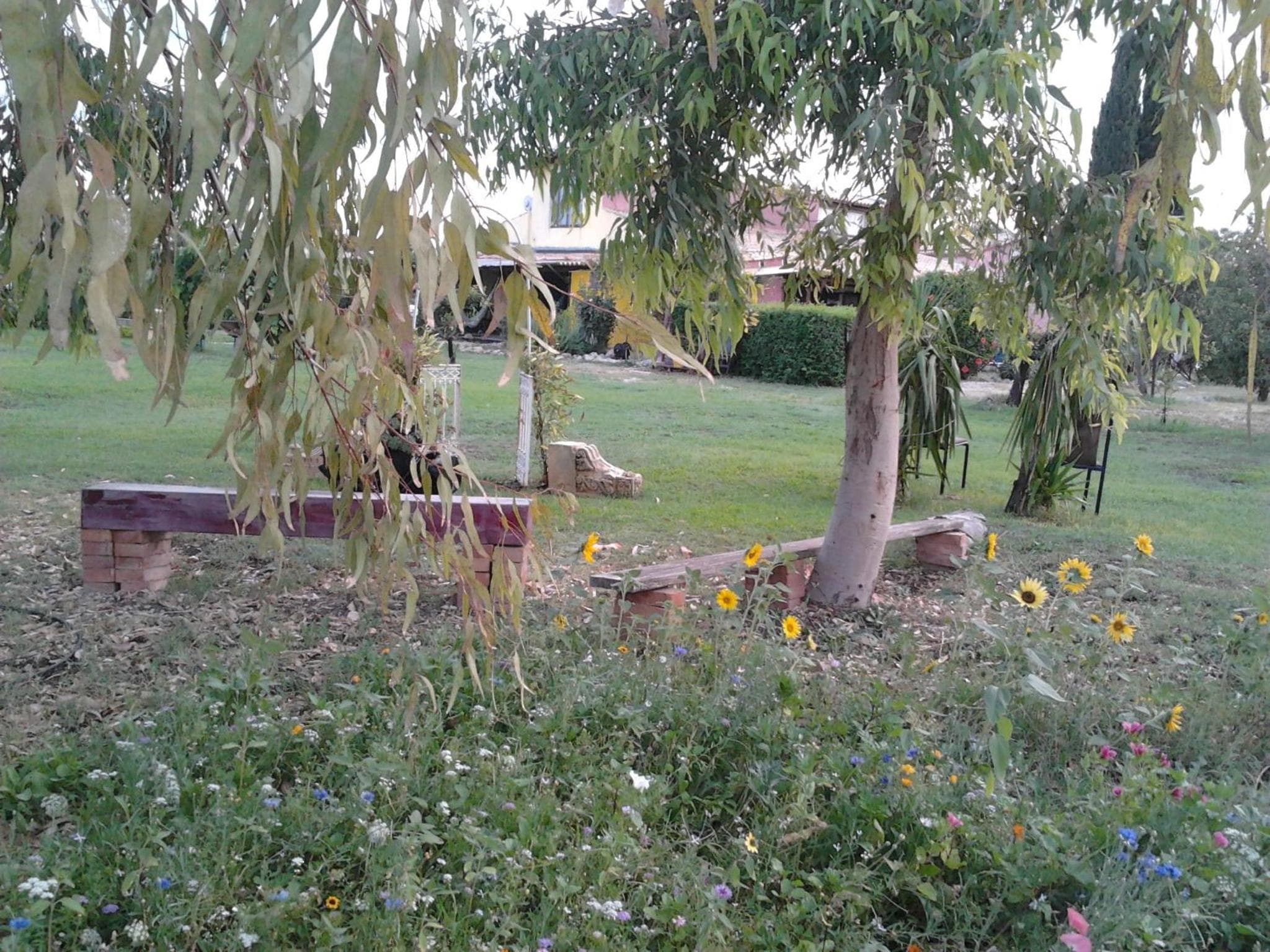 Agrib&B Lemontree Garde'N photo 9