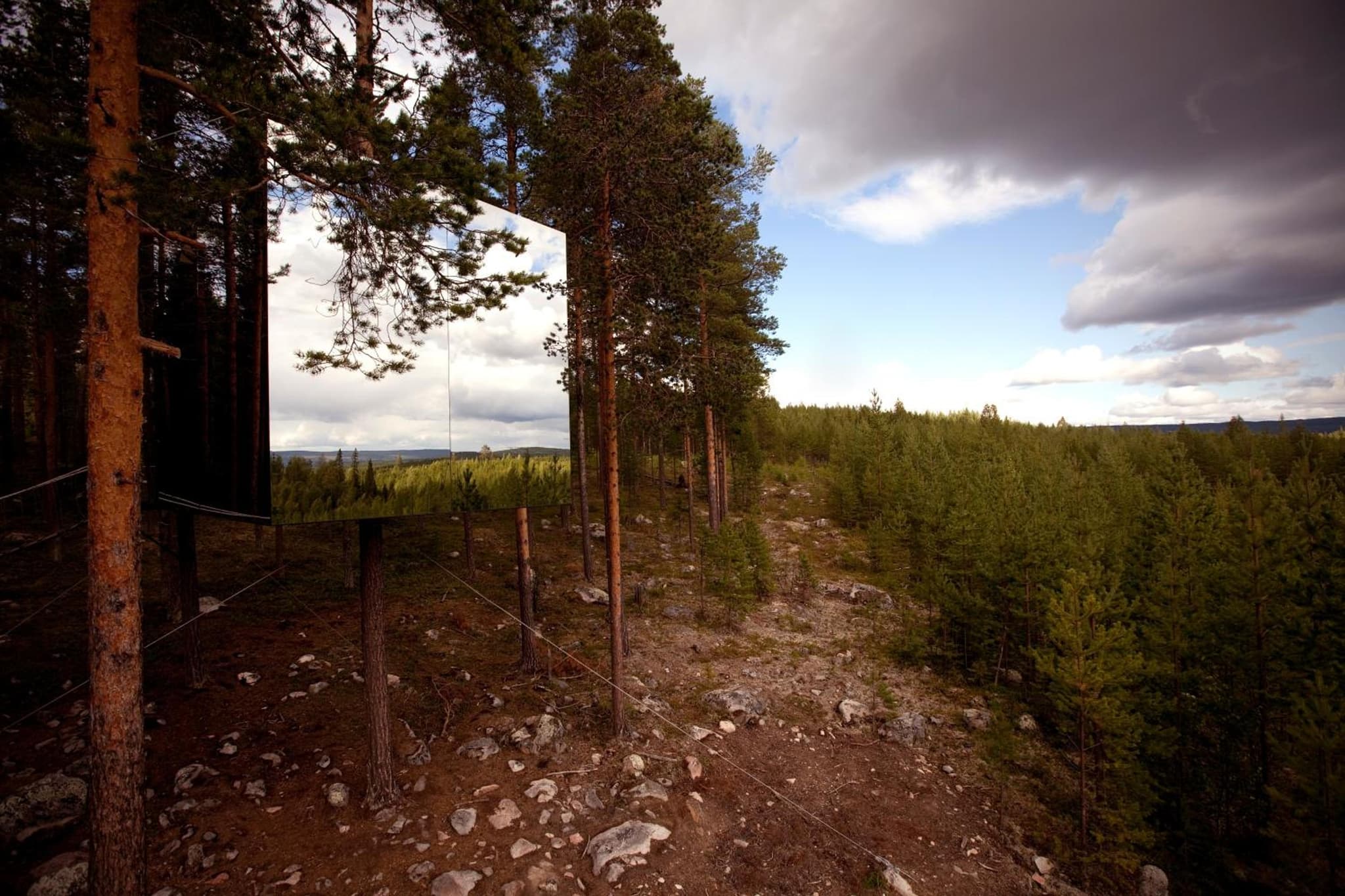 Treehotel photo 7
