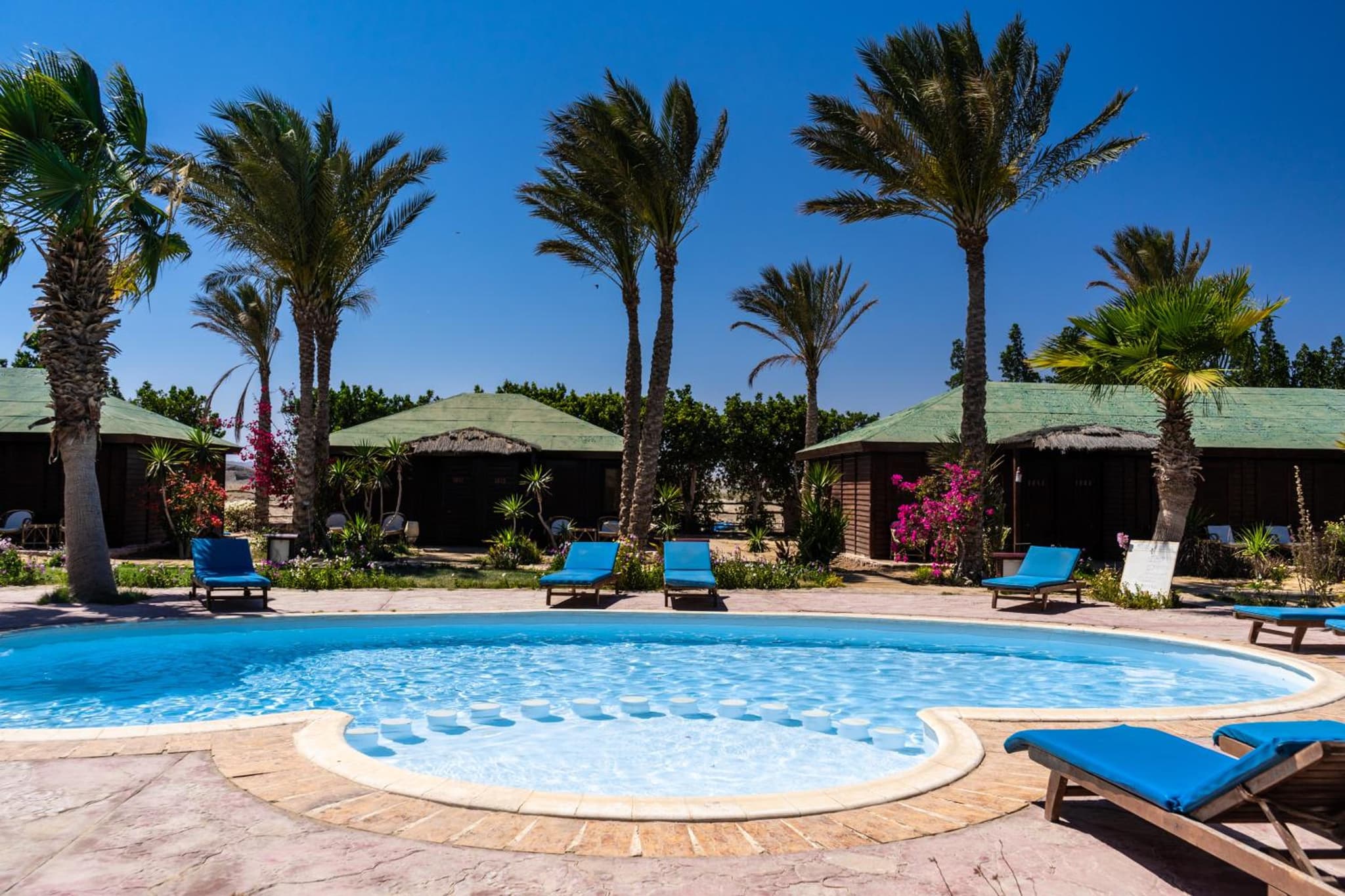 Abu Dabbab Lodge photo 3