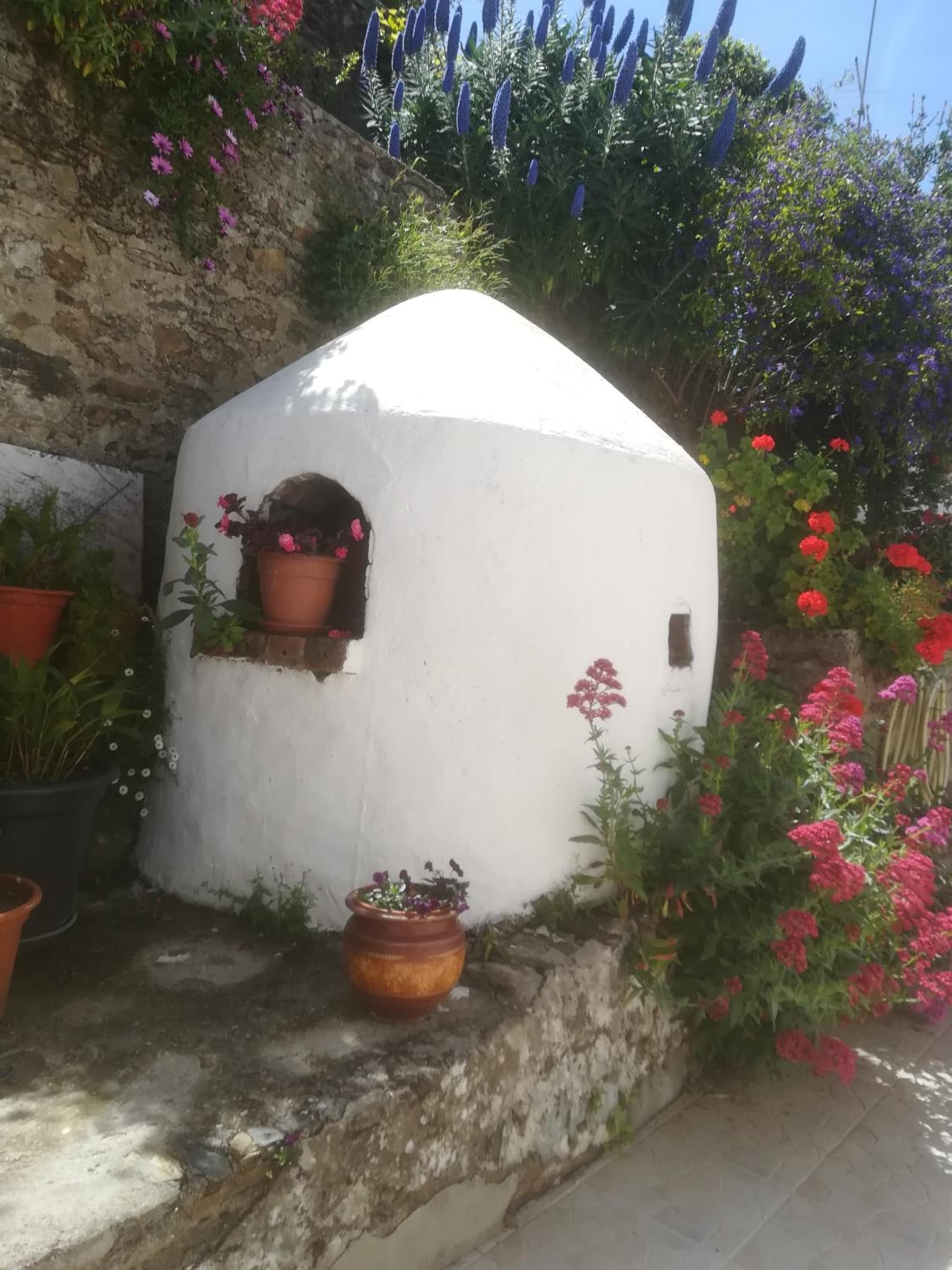 Casa Luar photo 5