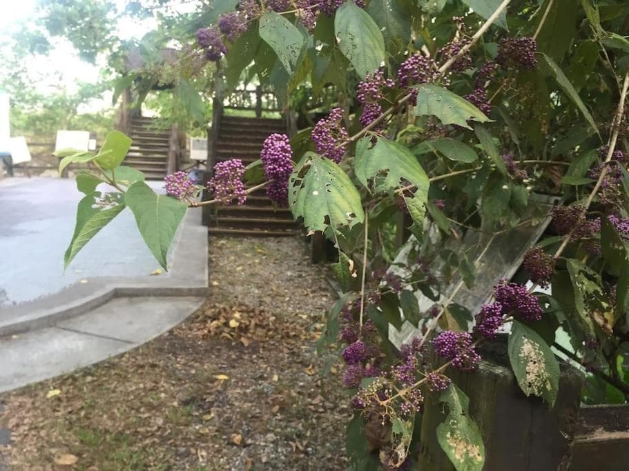 Shin-Liu Garden B&B photo 2