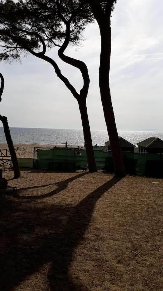 Un mare di relax photo 9