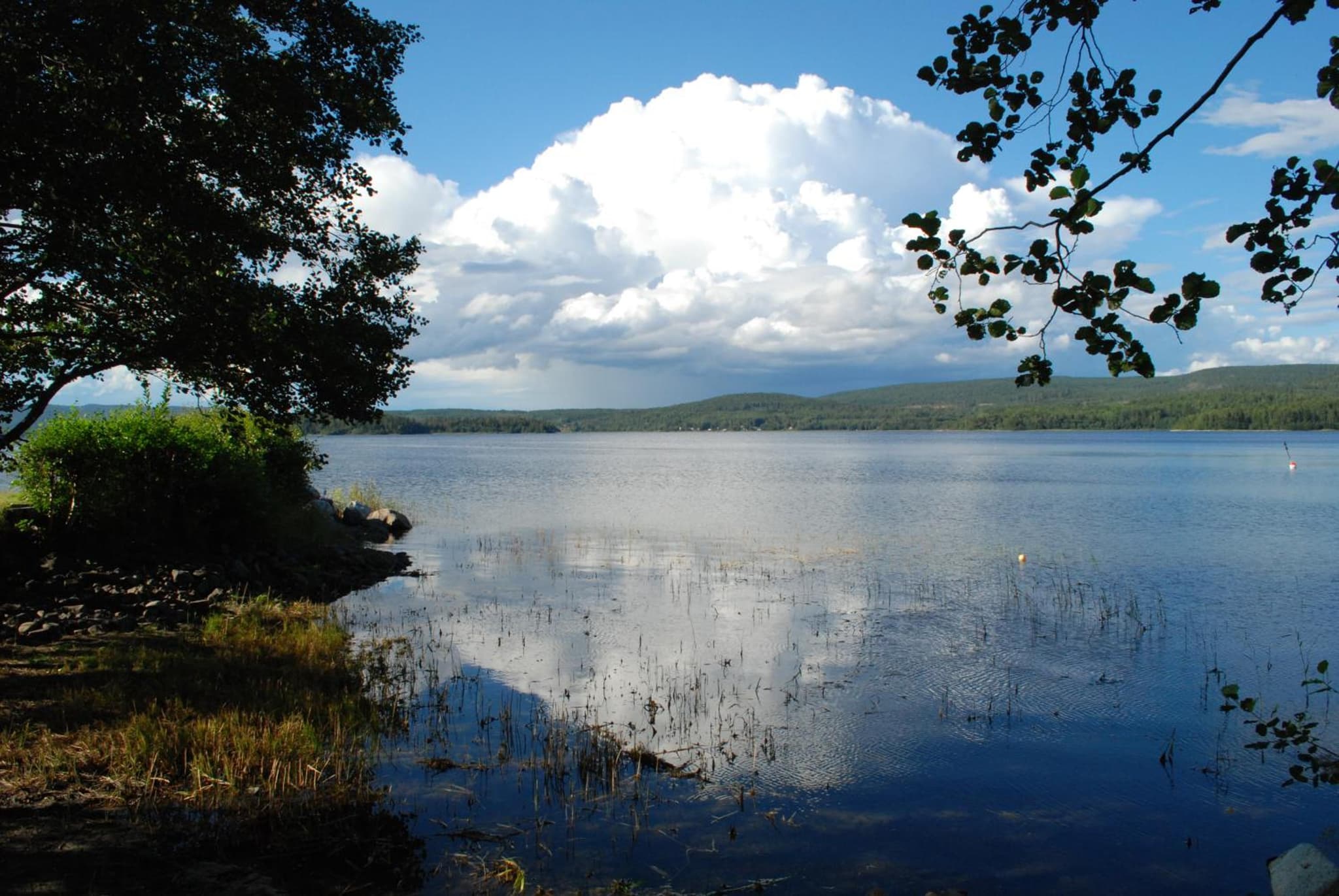 Backnäsgården photo 2