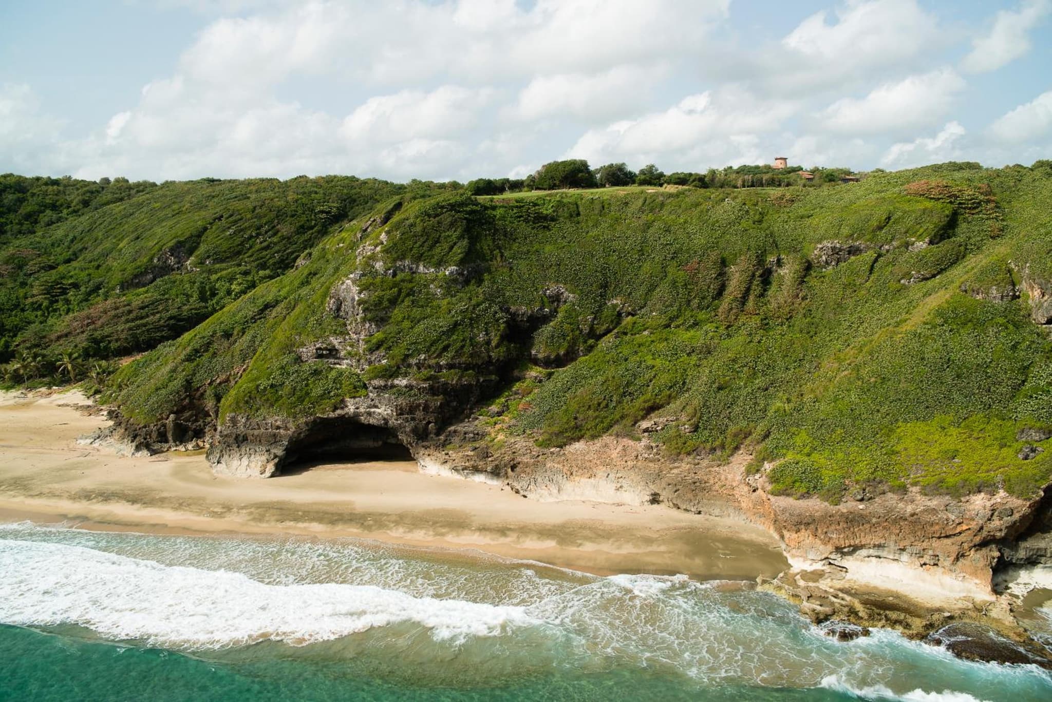 Royal Isabela photo 2