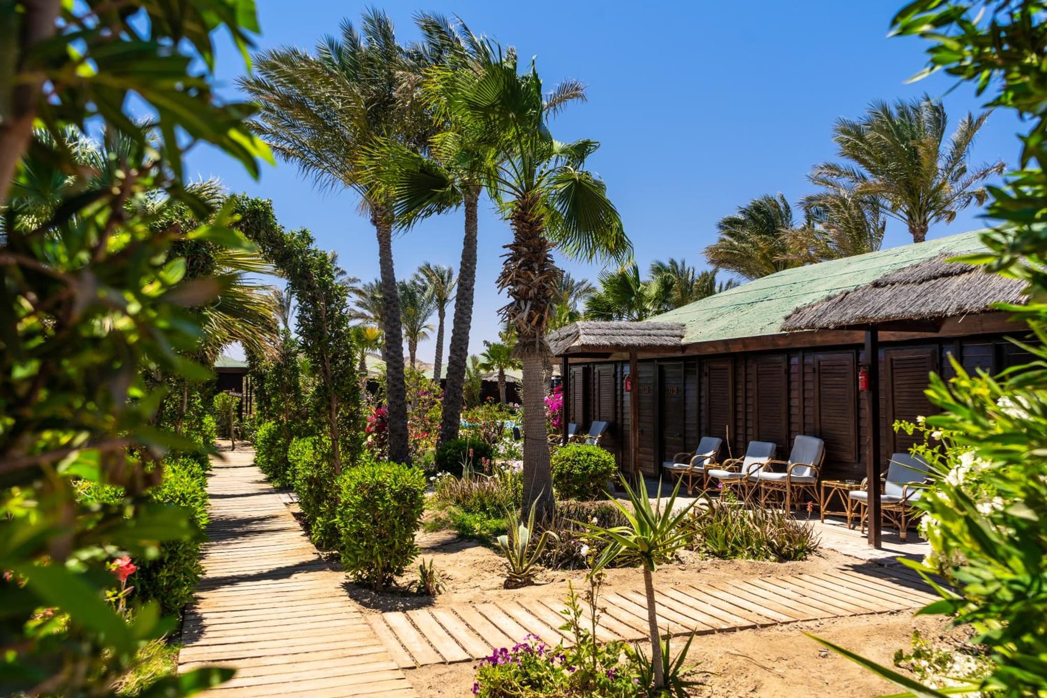 Abu Dabbab Lodge photo 5