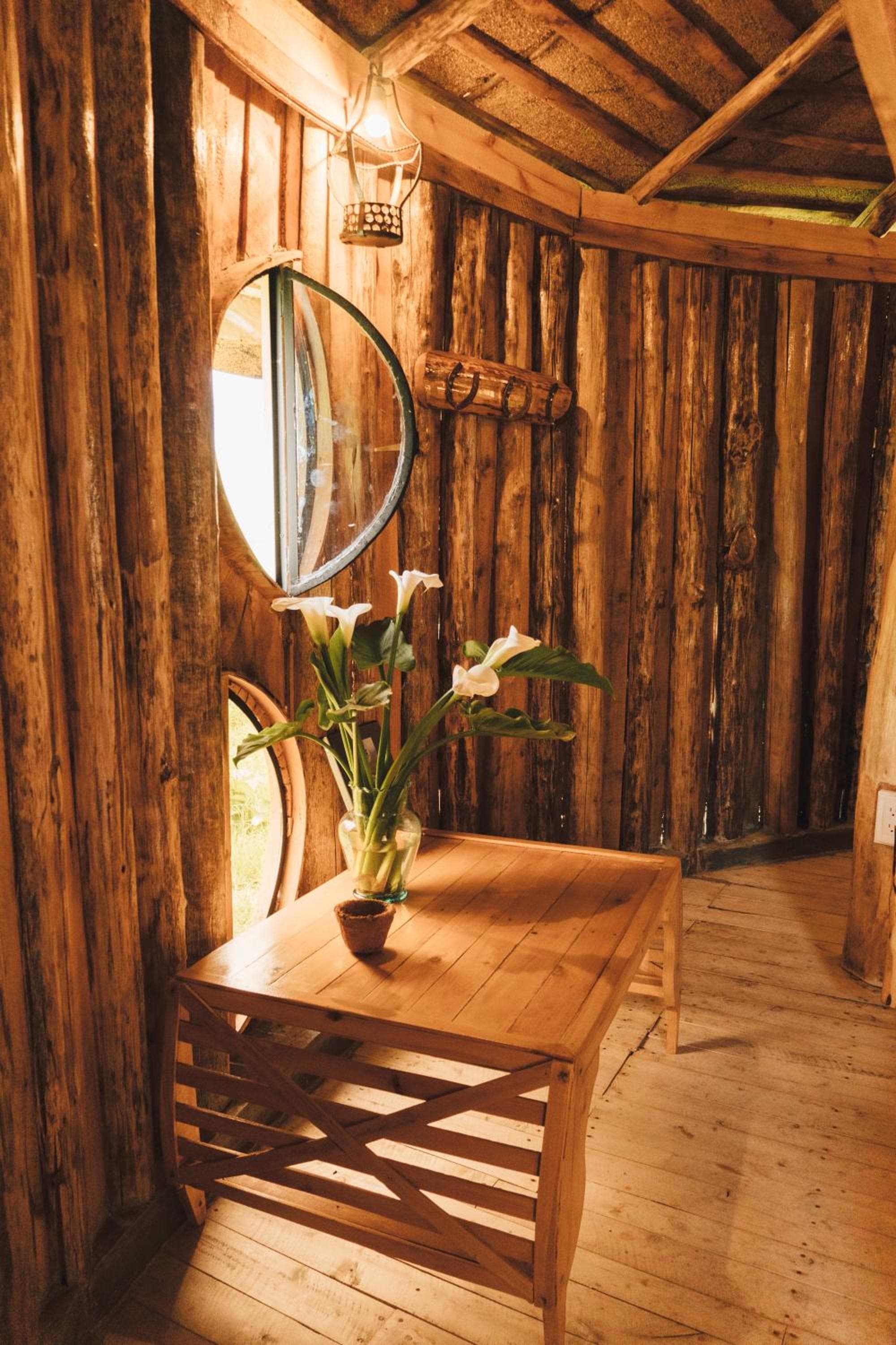 Hostal La Laguna photo 4