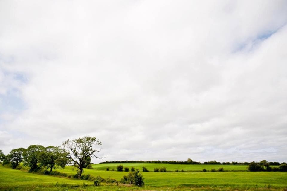 Bamflatt Farm Bed & Breakfast photo 6