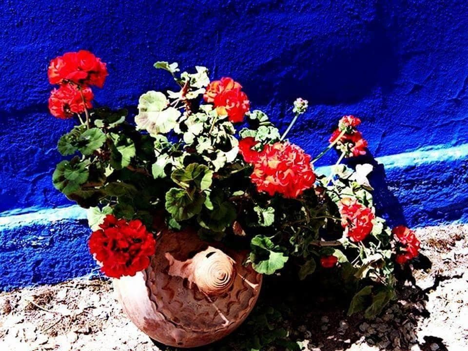 Las Banderas photo 8