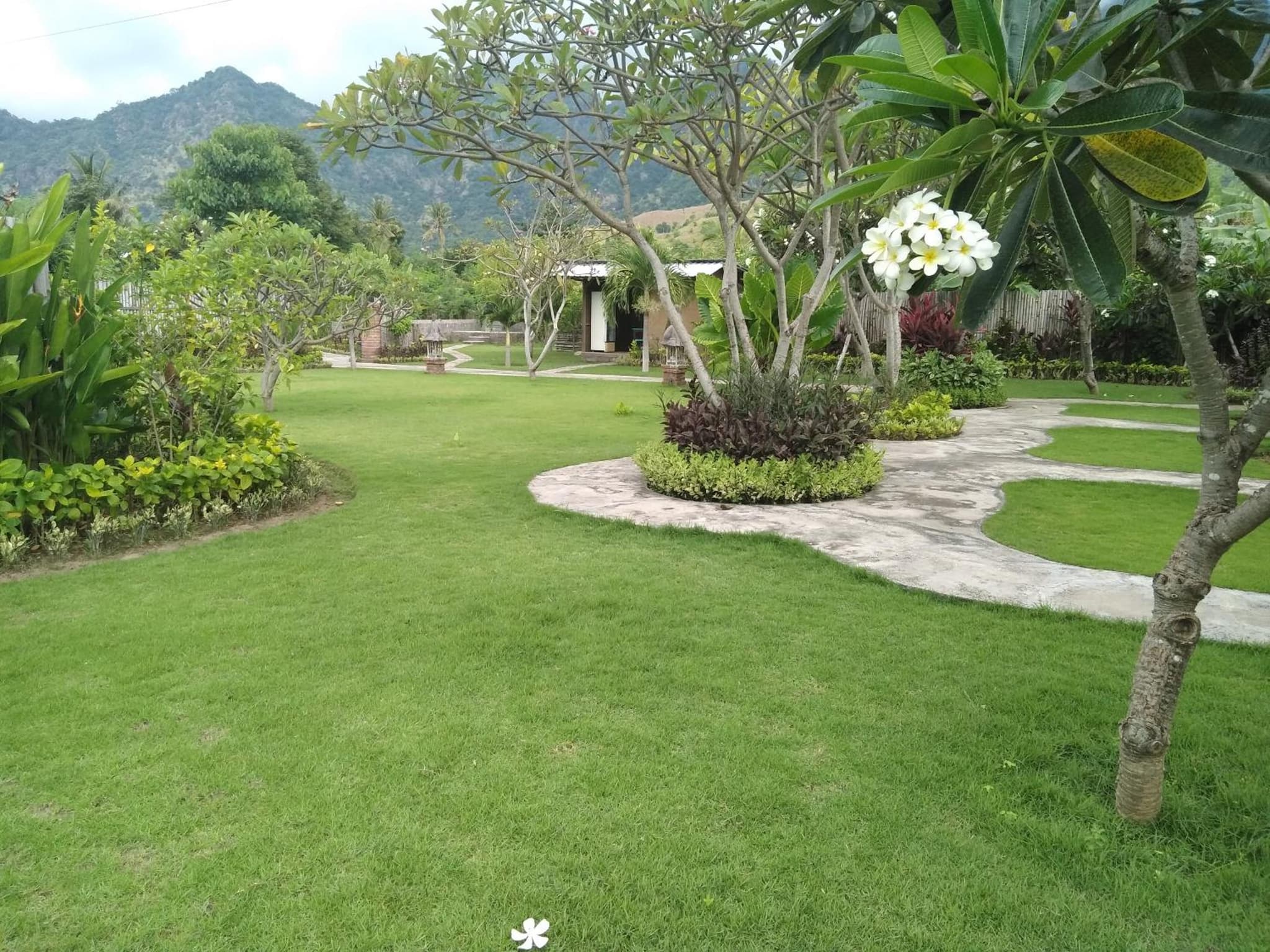 Krisna Homestay photo 9