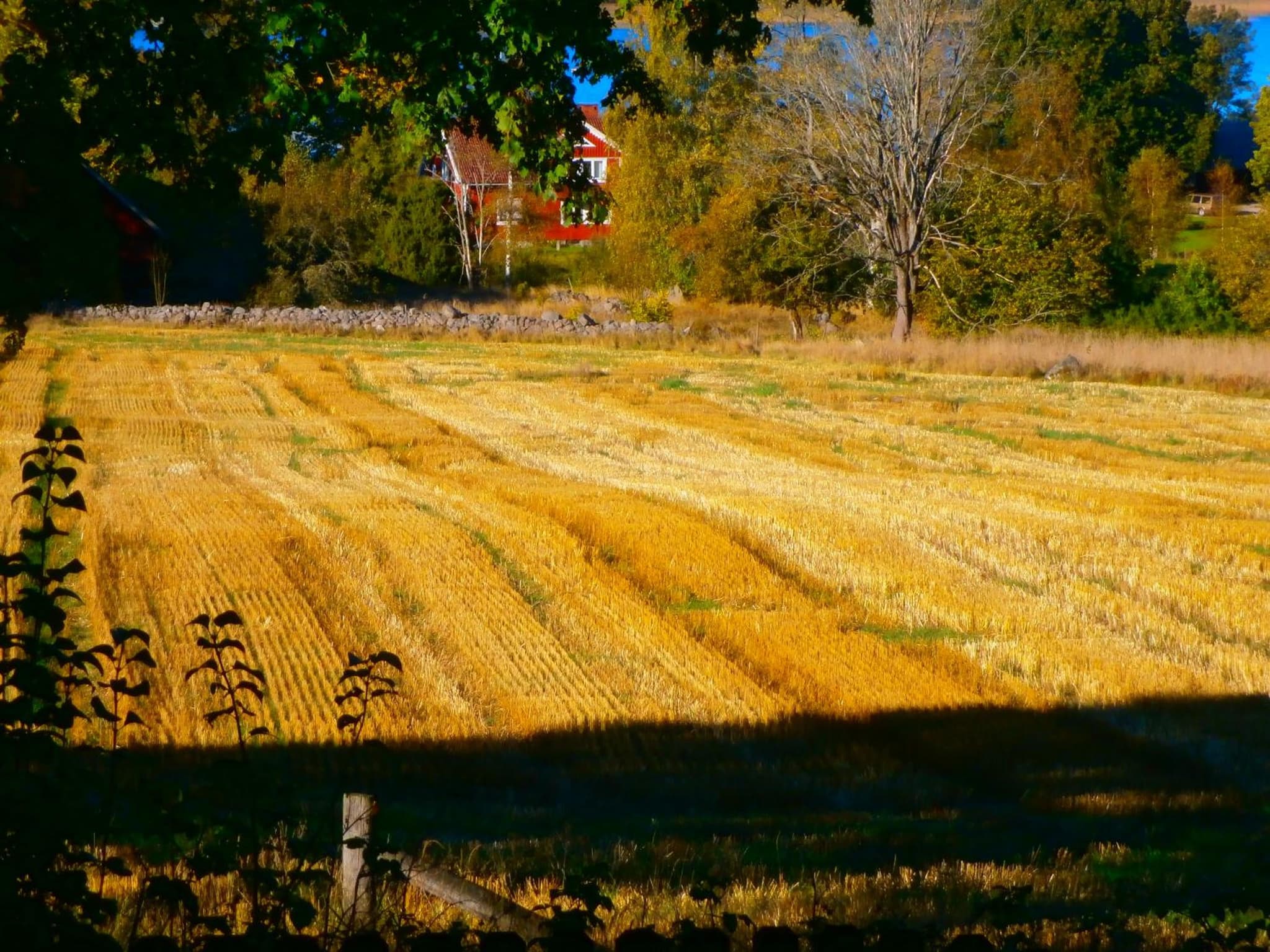 Rolsmo Norregård 16 photo 3