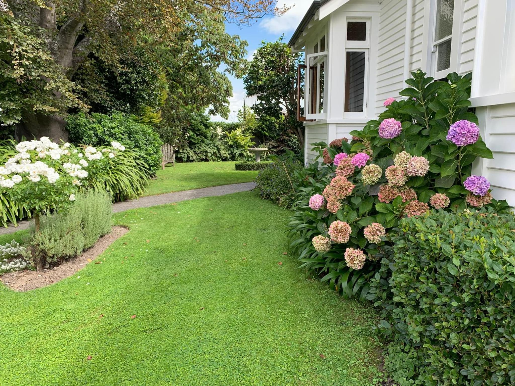 Hawkes Bay Villa-Beechwood photo 3