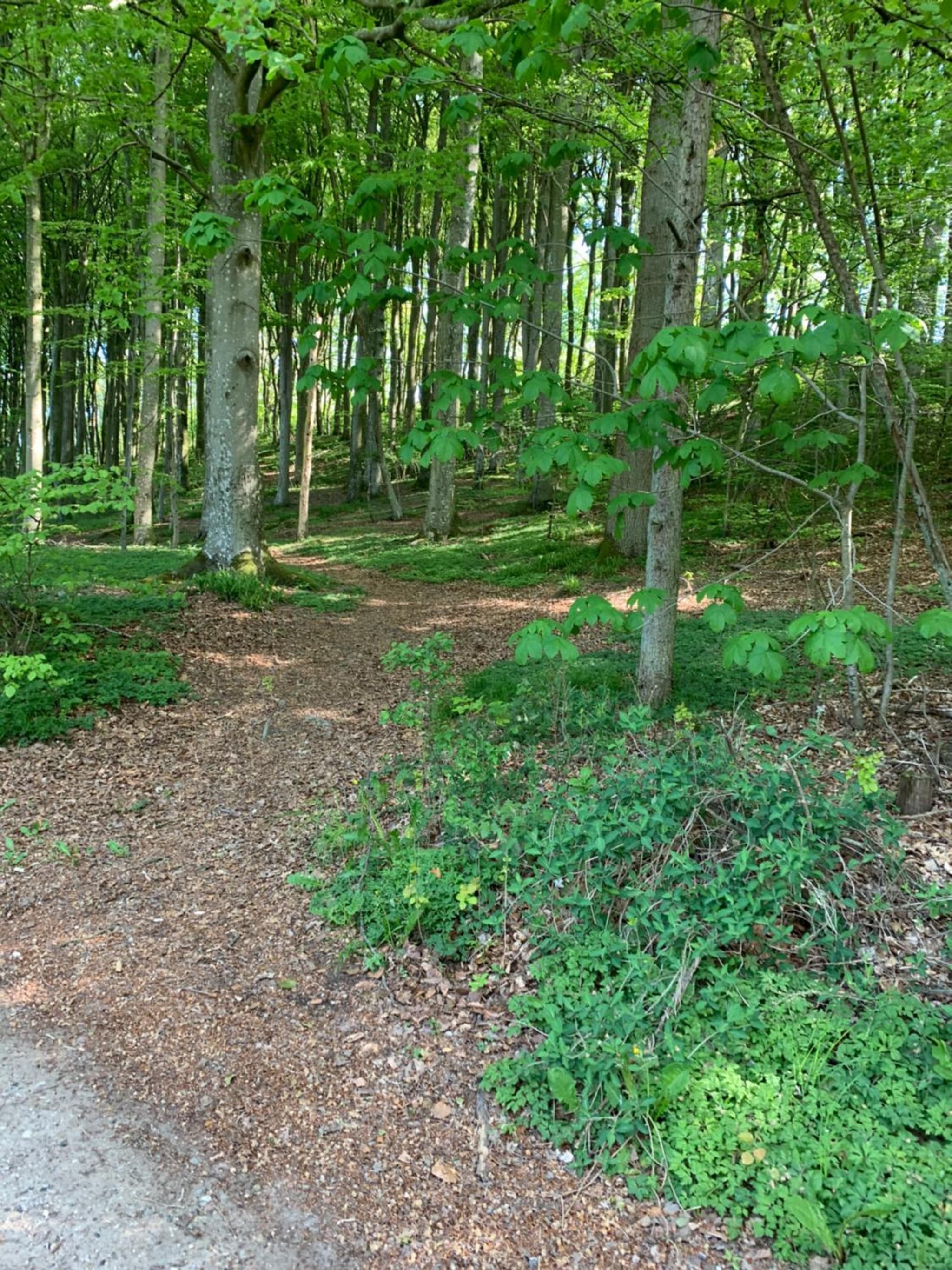 Villa Toften photo 5