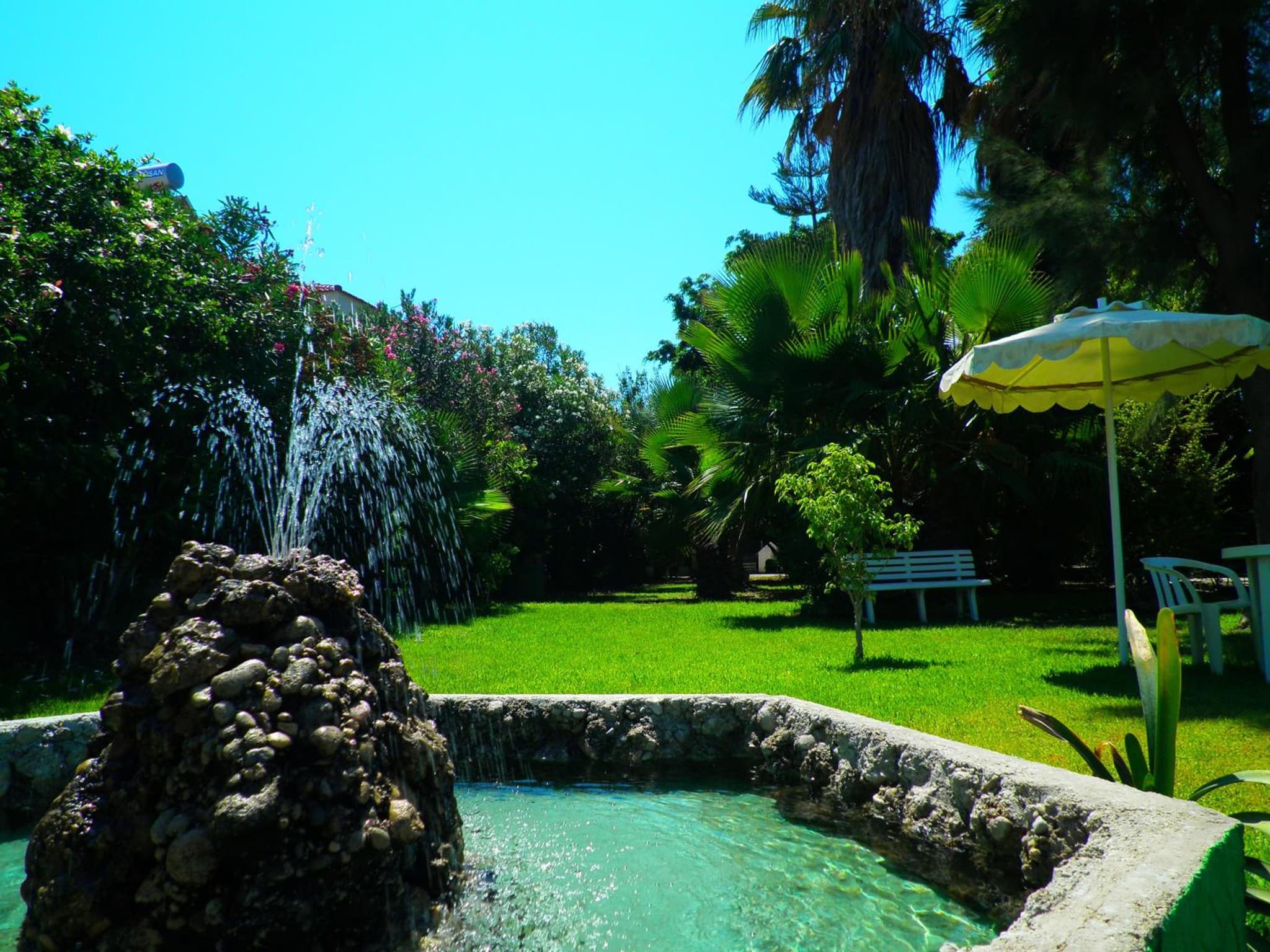 Alexia Apartments & Studios photo 4