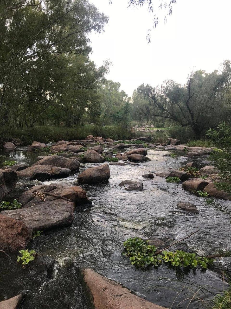 River Rock Lodge photo 2