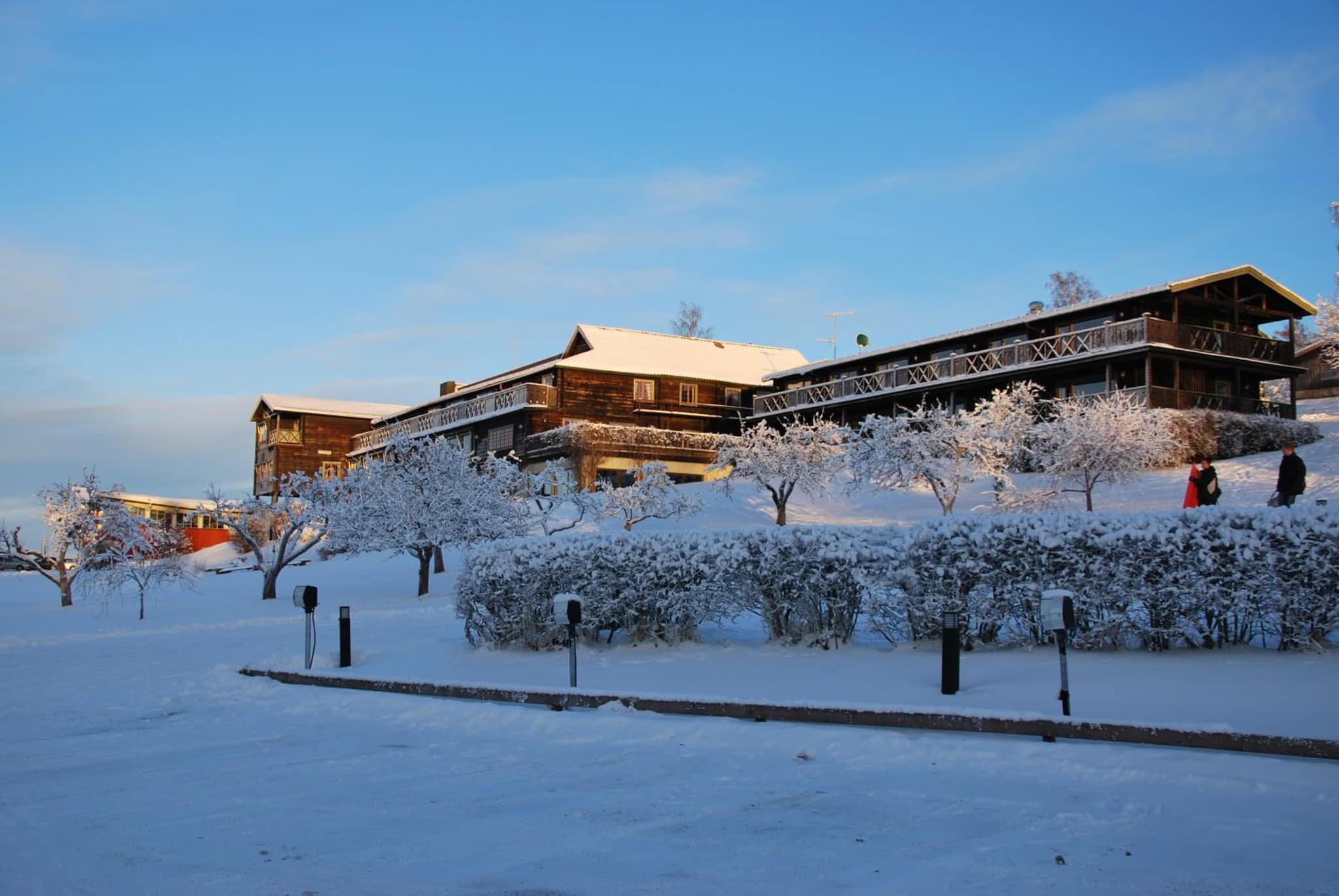 Green Hotel photo 3