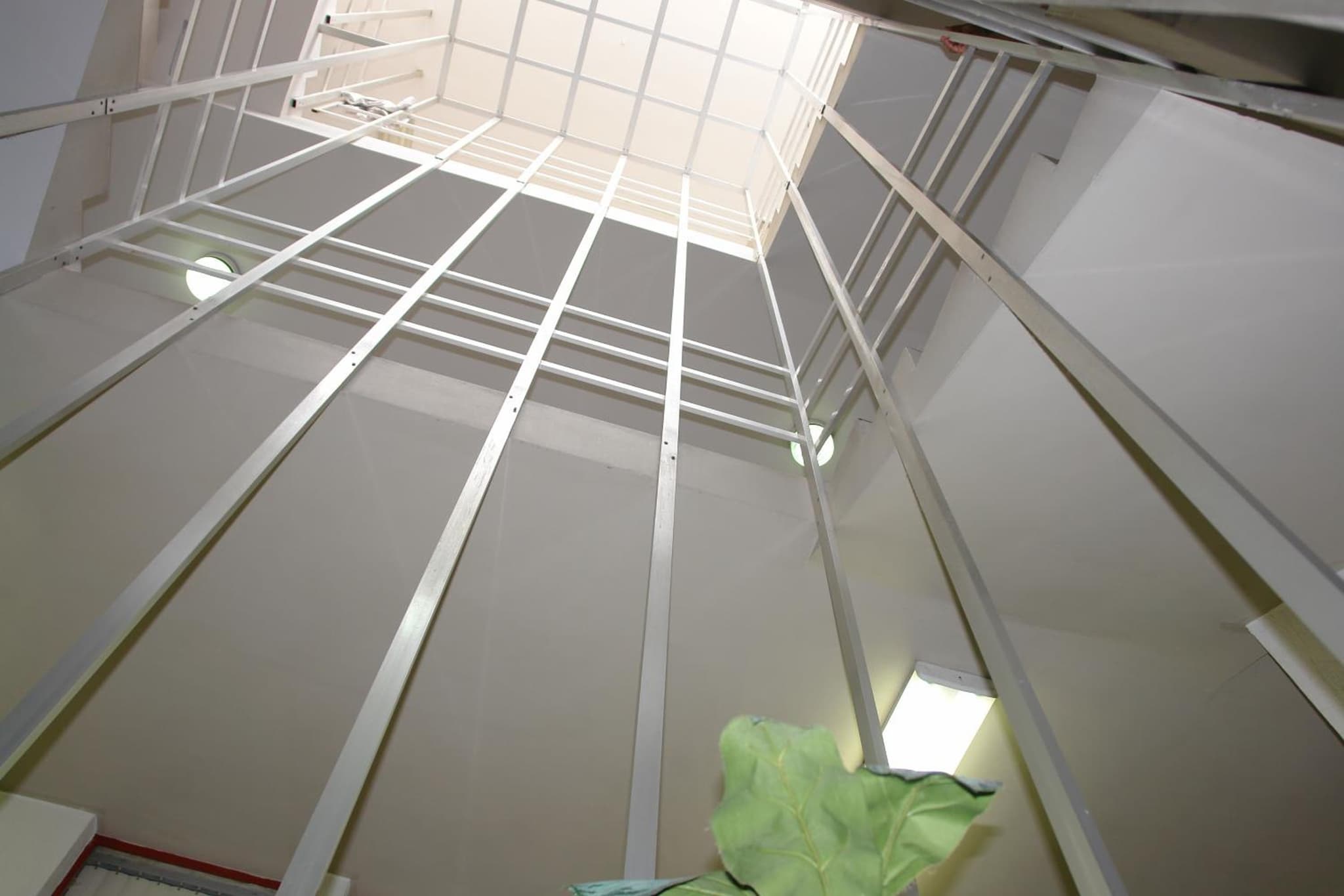 Hotel Fiesta Versalles photo 4
