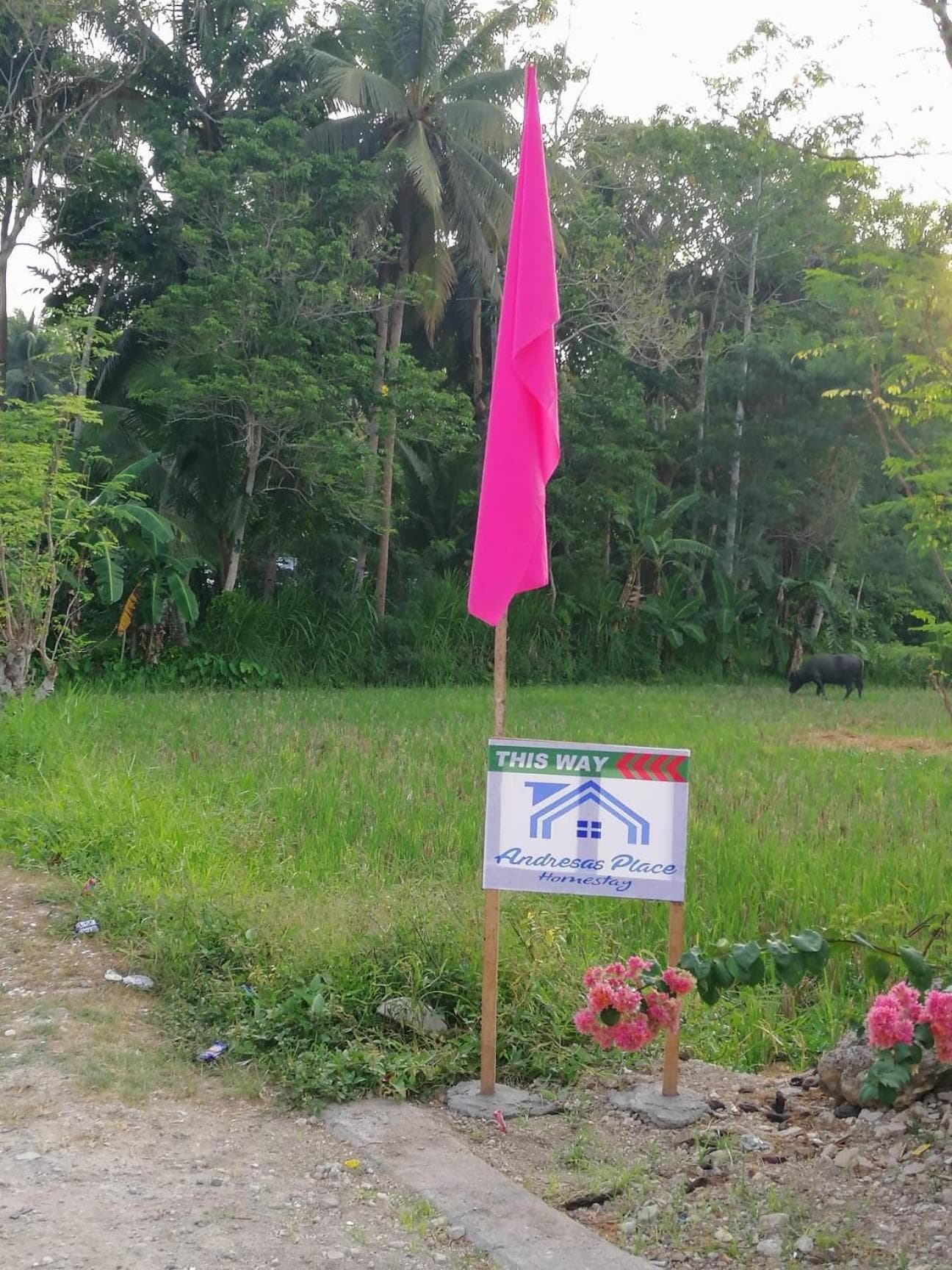 Andresas Homestay photo 6