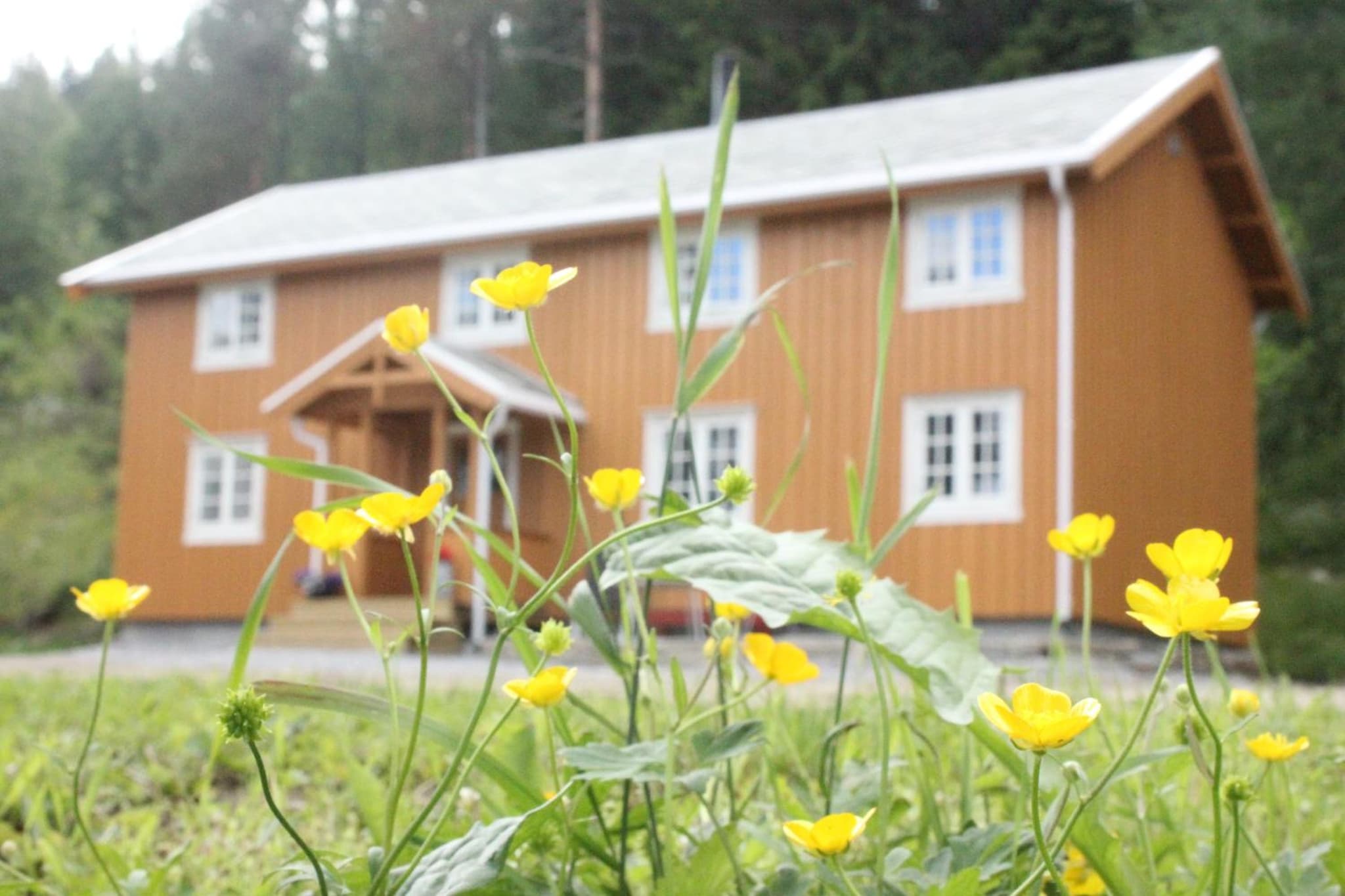 Bakarstuo, Utpå Neset photo 6
