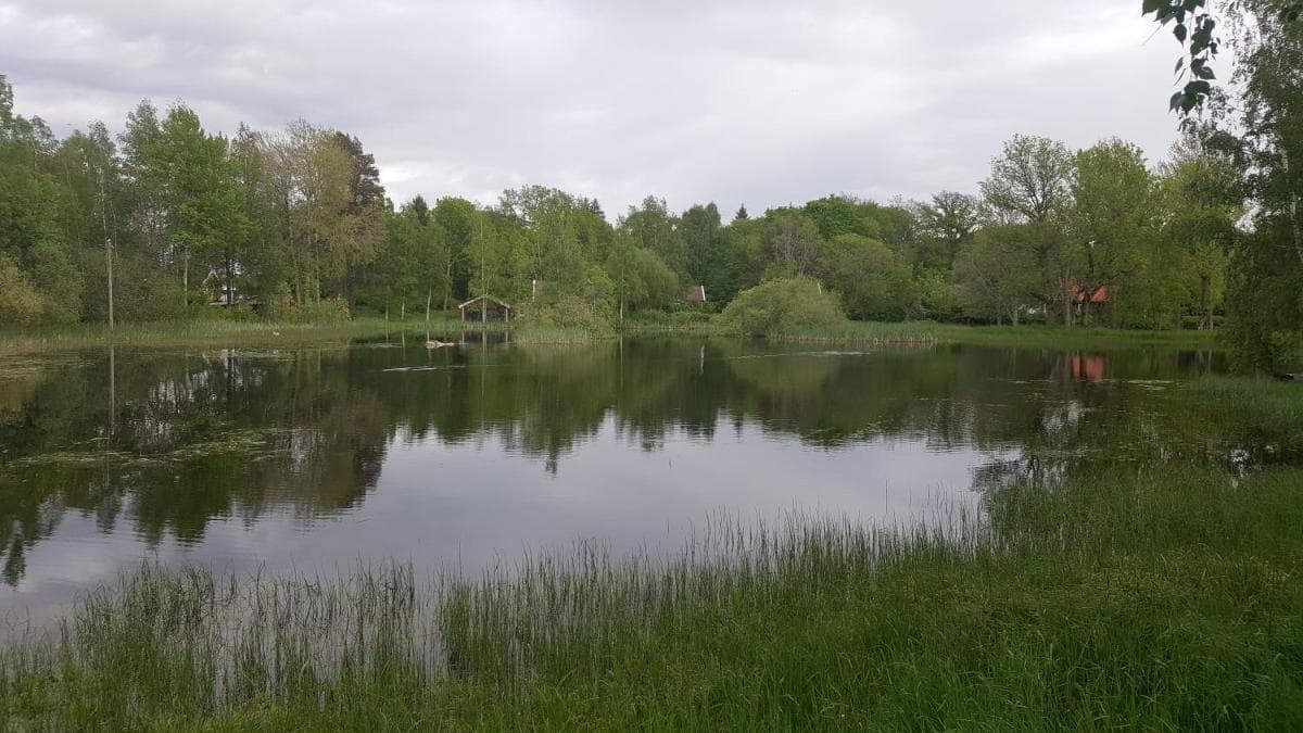 Sollyckan photo 6