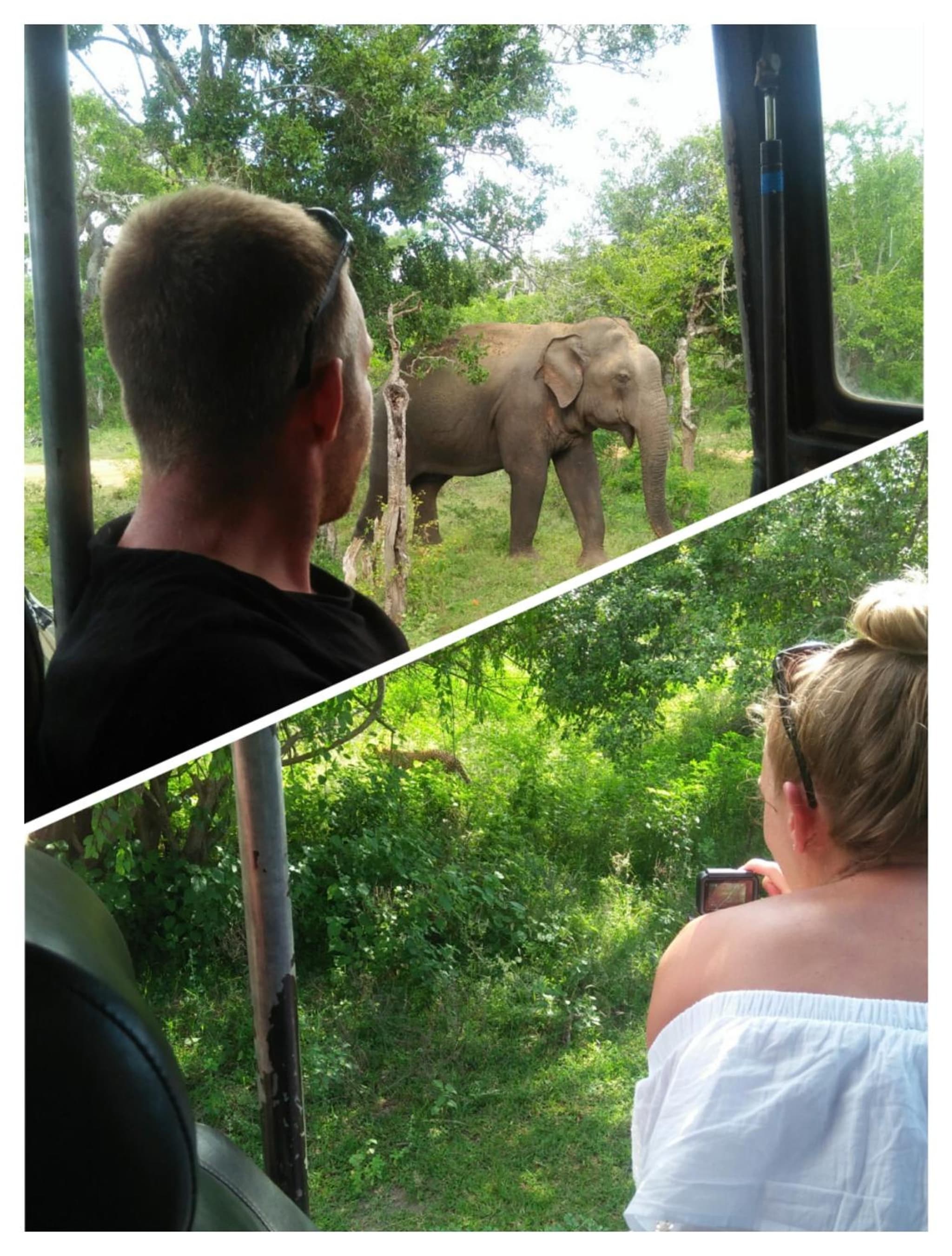 Nehansa Resort and safari photo 9