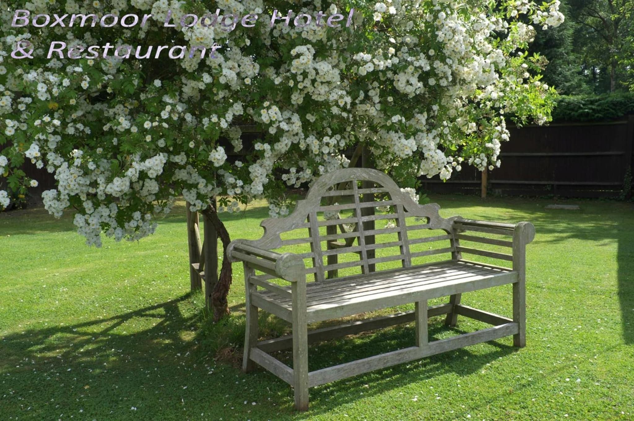 Boxmoor Lodge Hotel photo 4