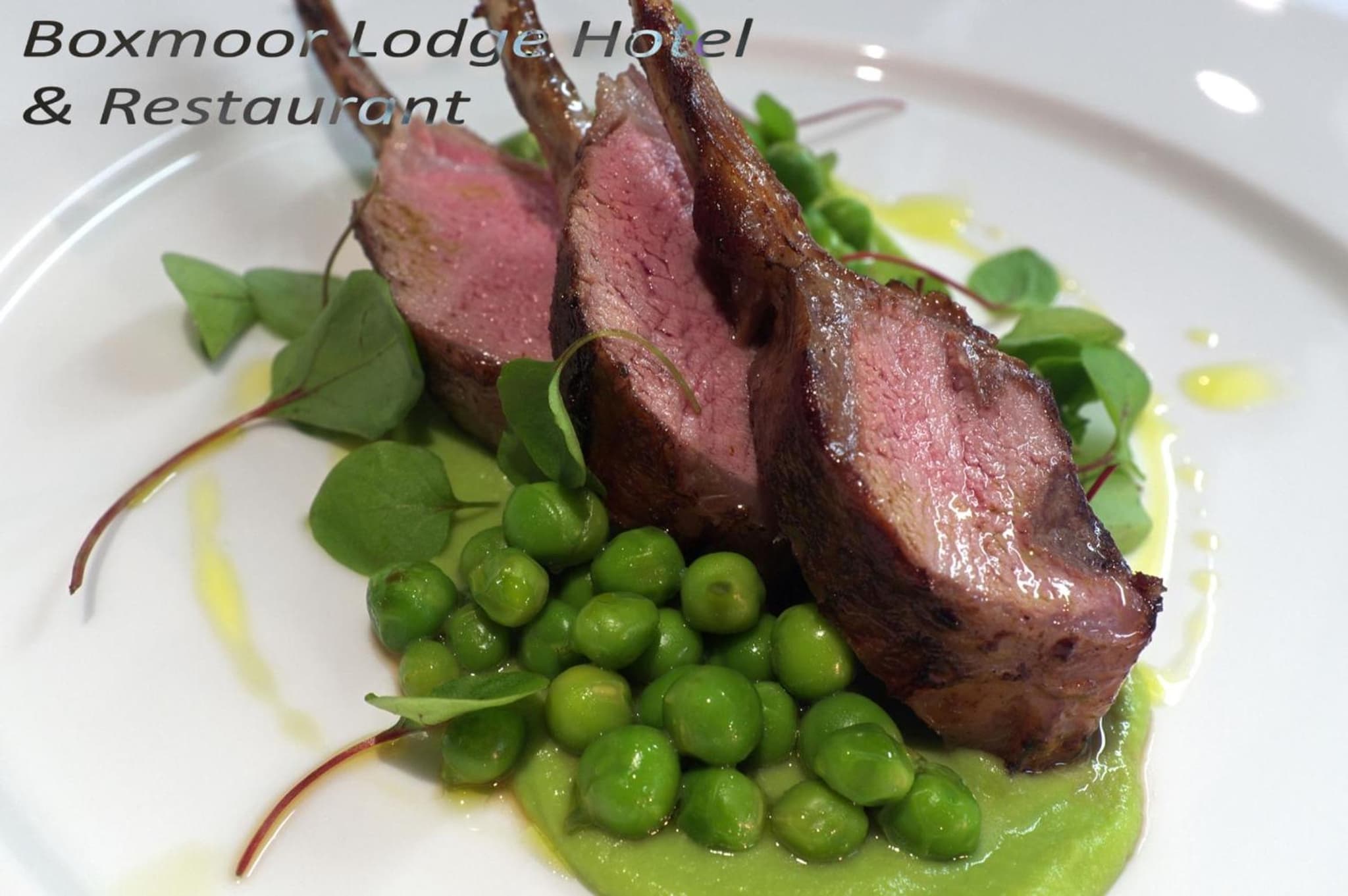 Boxmoor Lodge Hotel photo 8