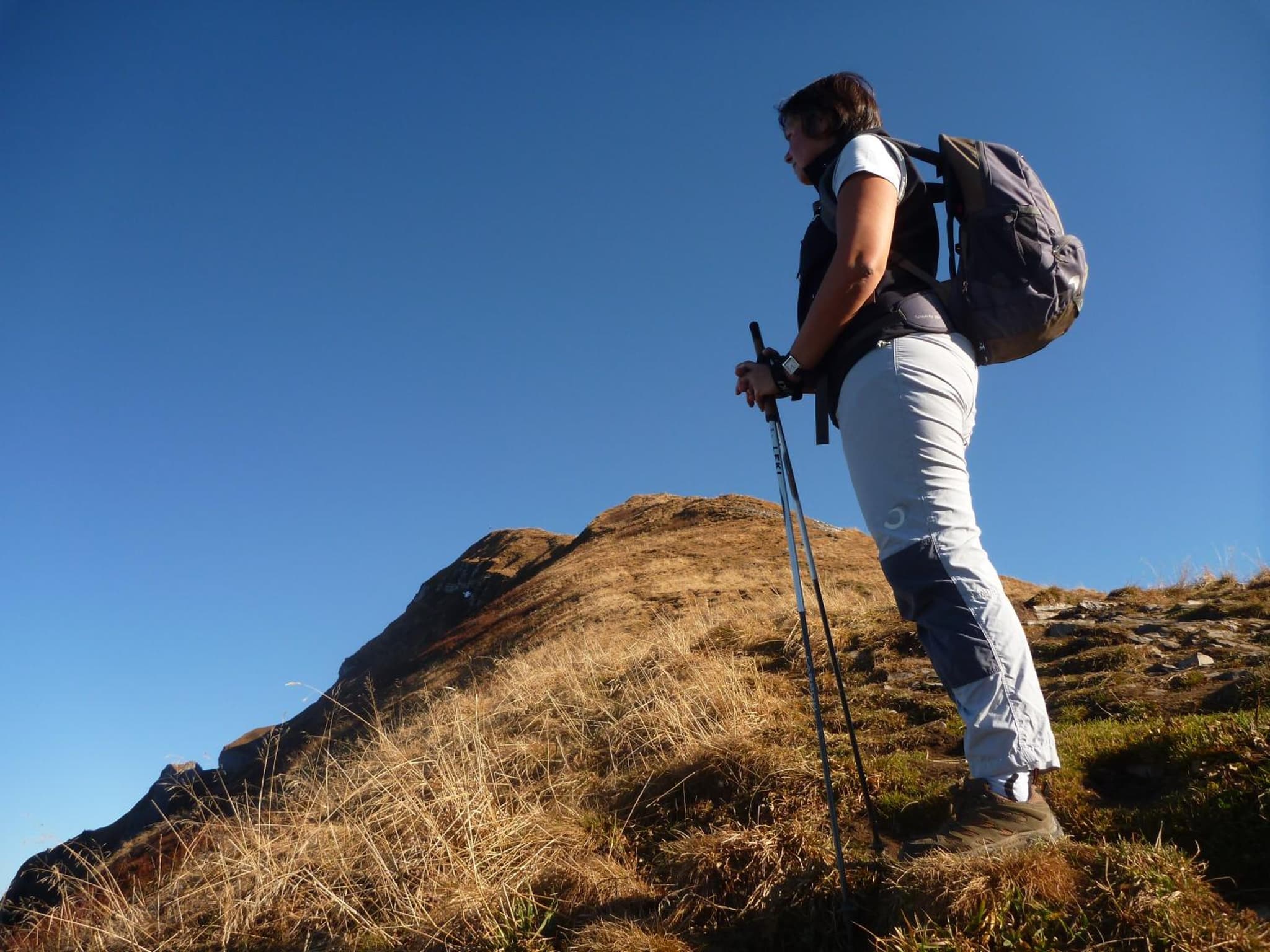 Urlaub bei Moses photo 5