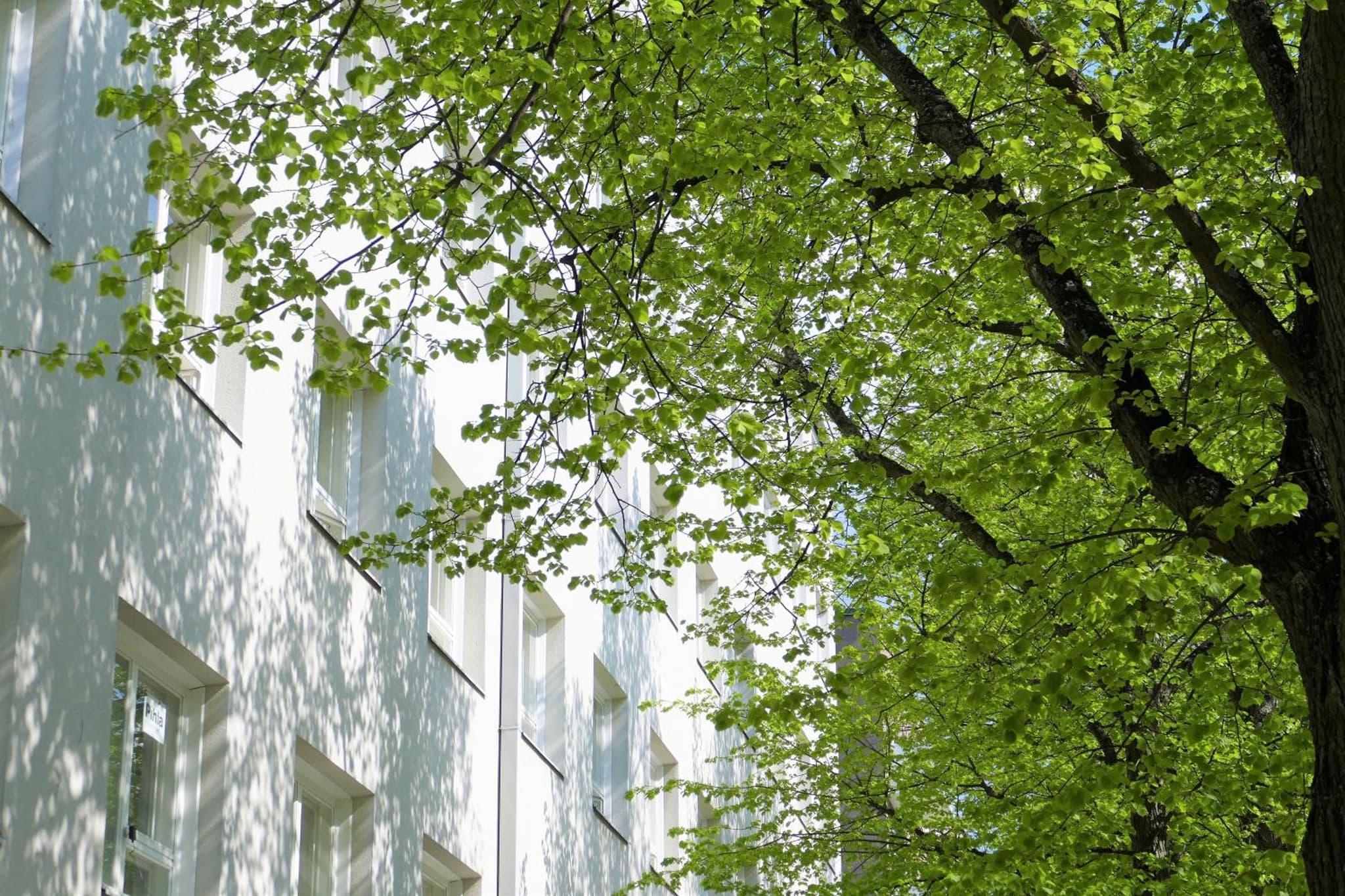 Hotel Raumanlinna photo 5