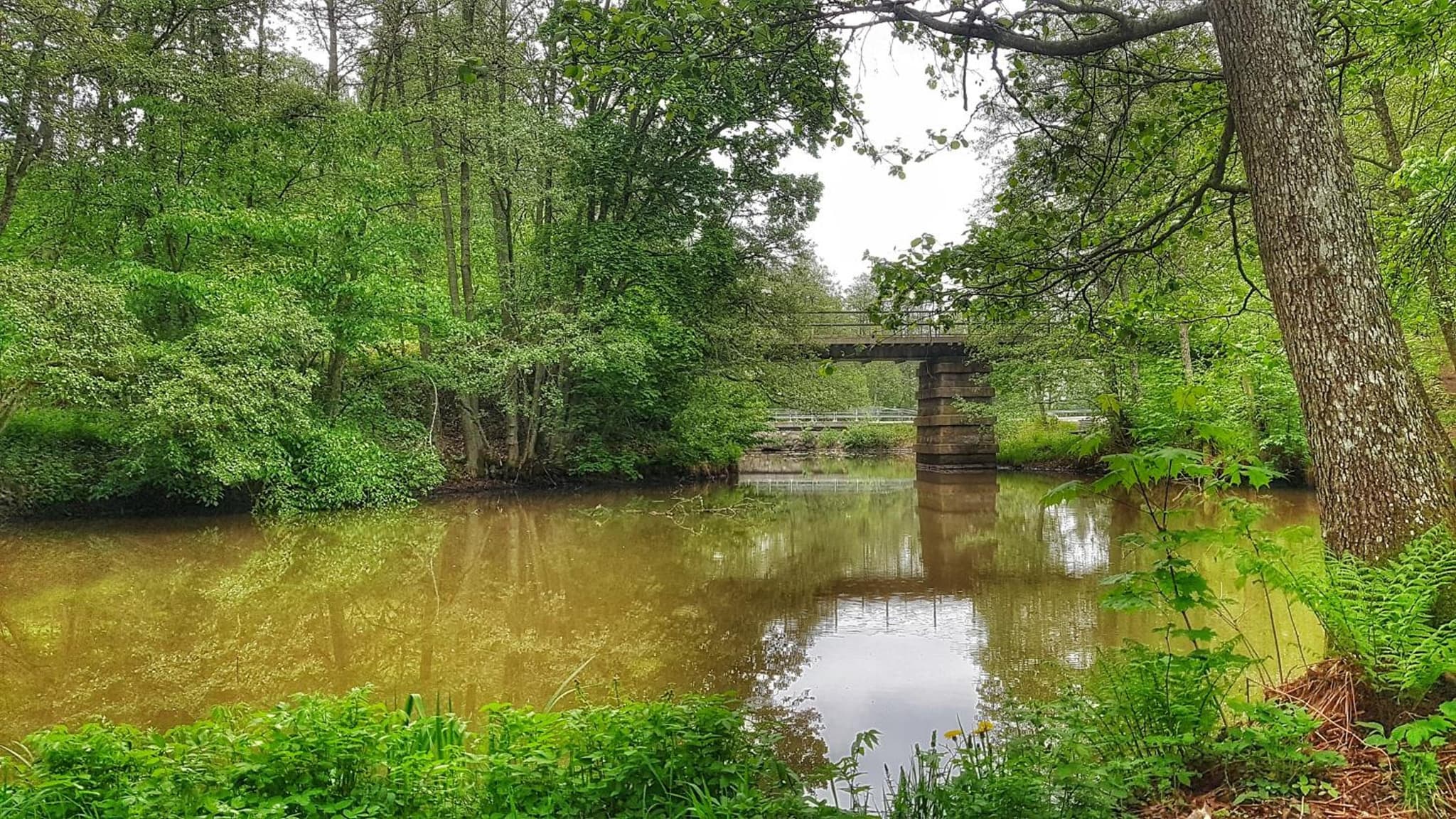 Lundsbrunn B&B photo 8